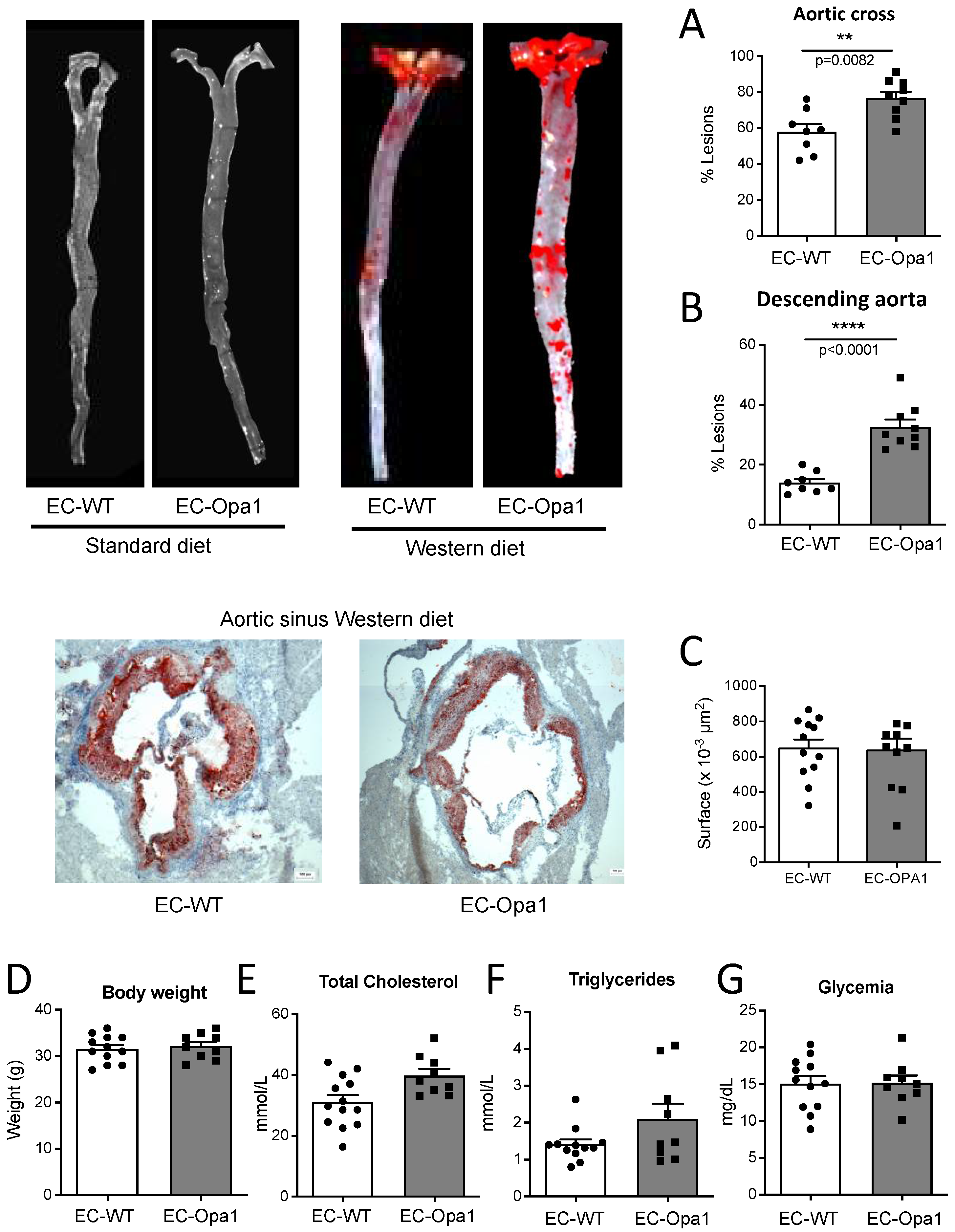 Antioxidants 11 01078 g009