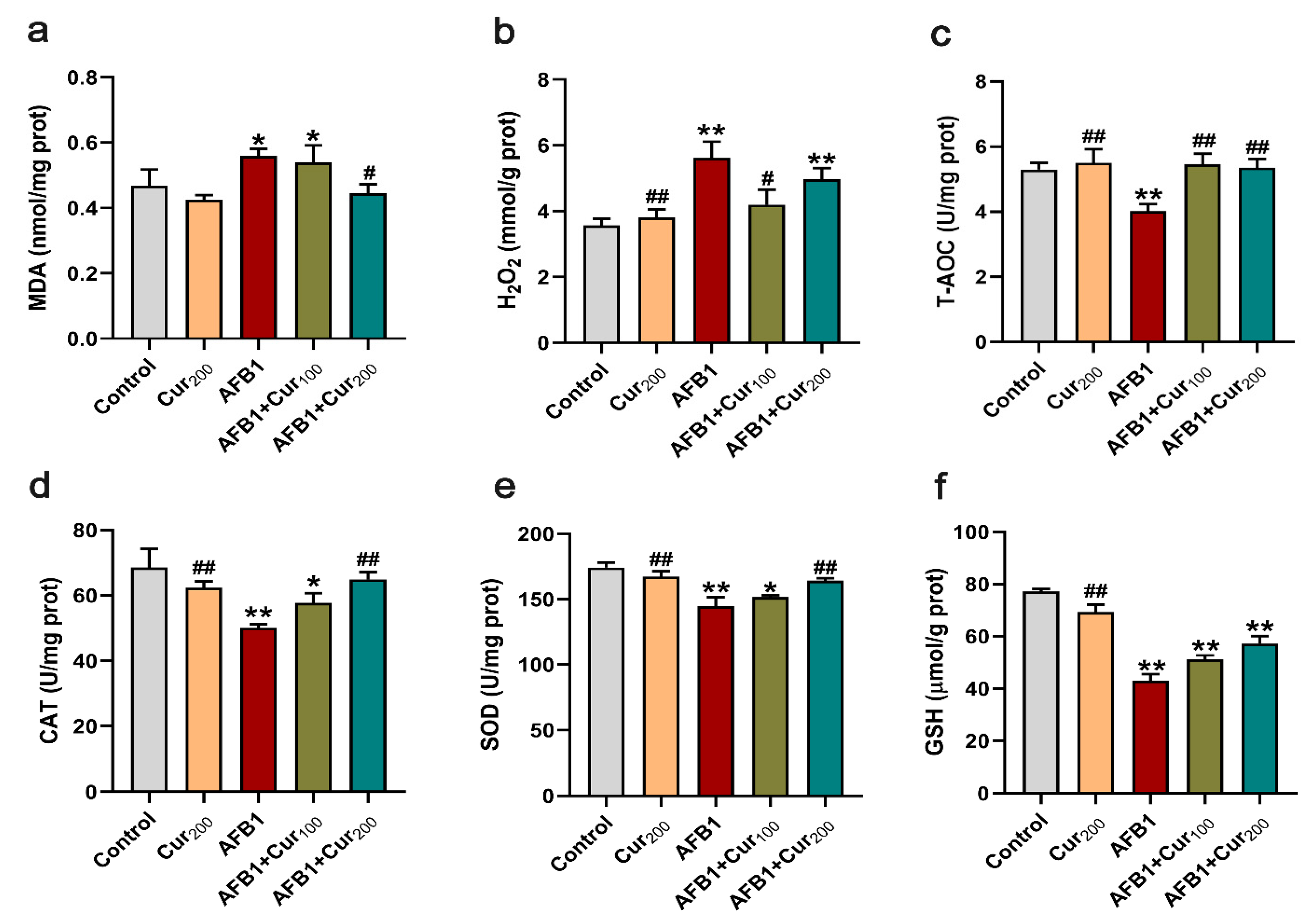 Antioxidants 11 01082 g004