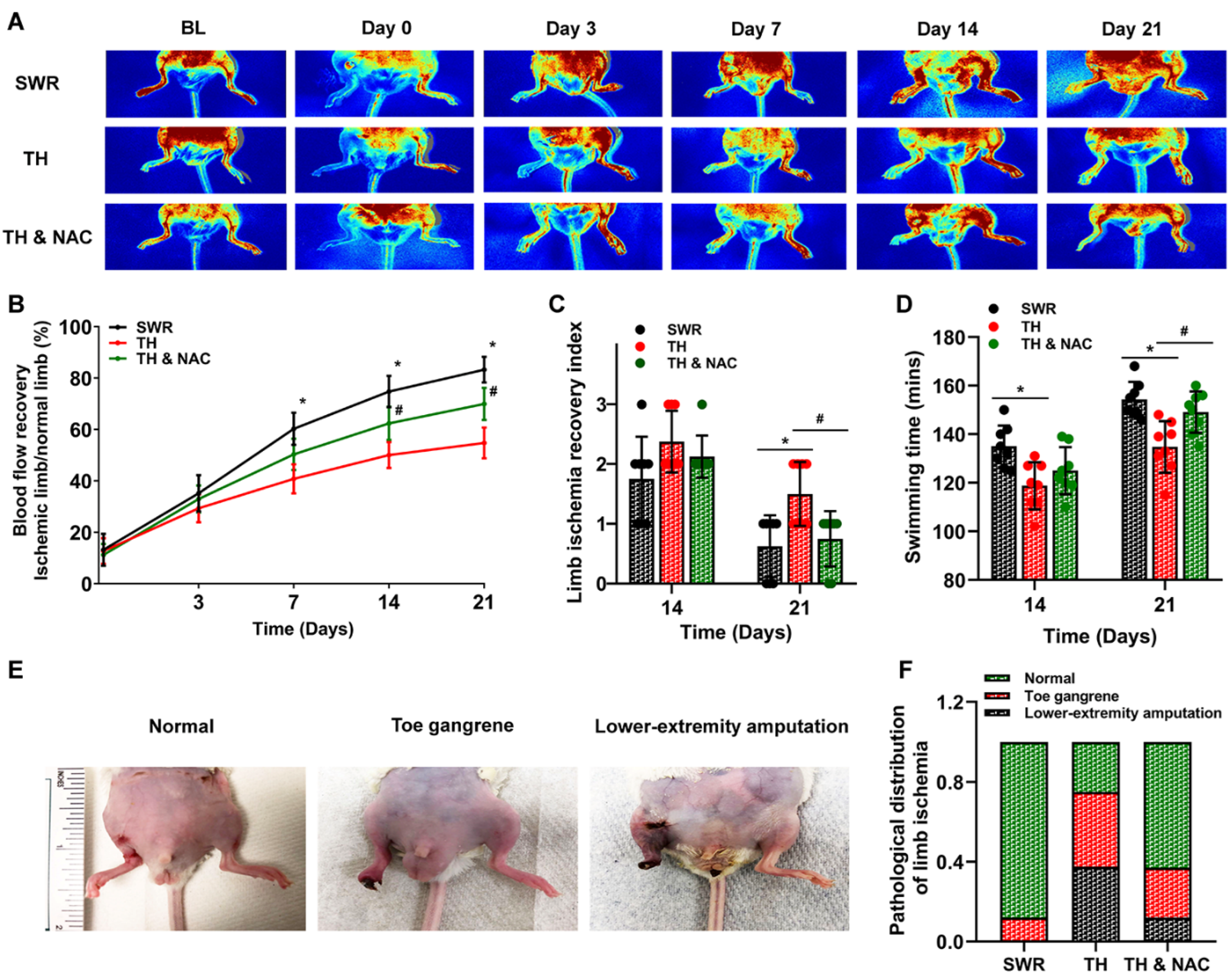 Antioxidants 11 01097 g003