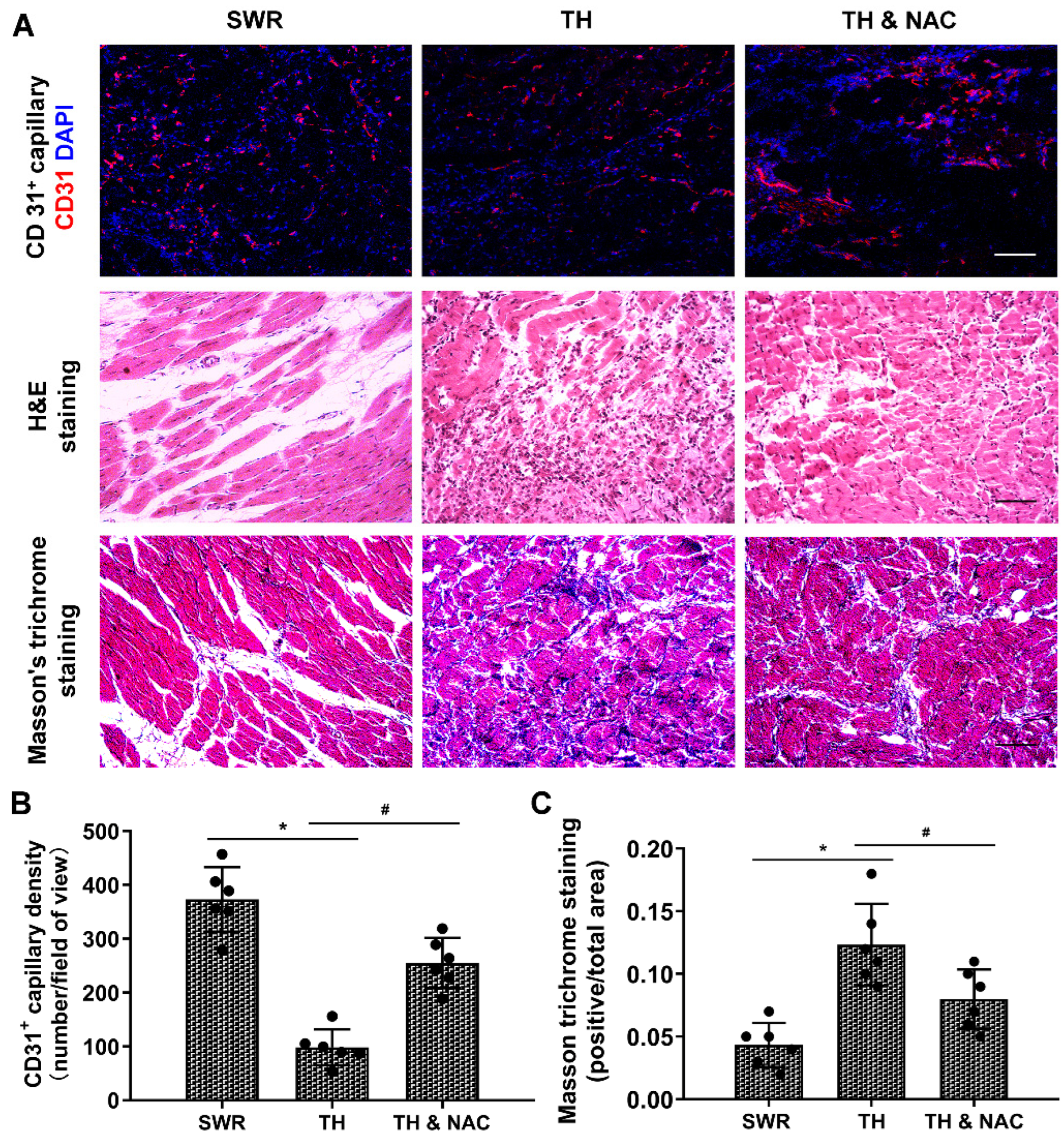 Antioxidants 11 01097 g004