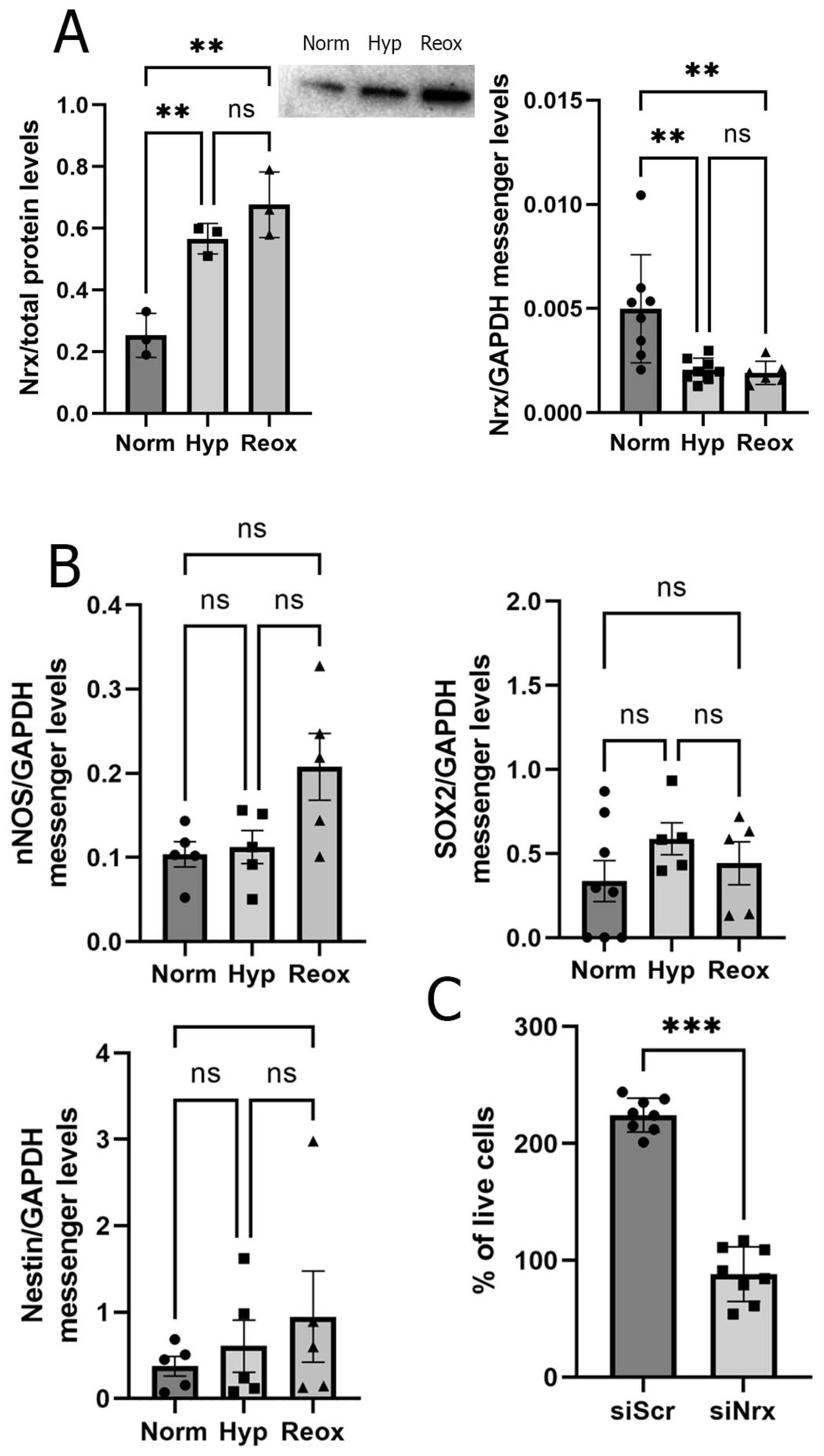 Antioxidants 11 01106 g002