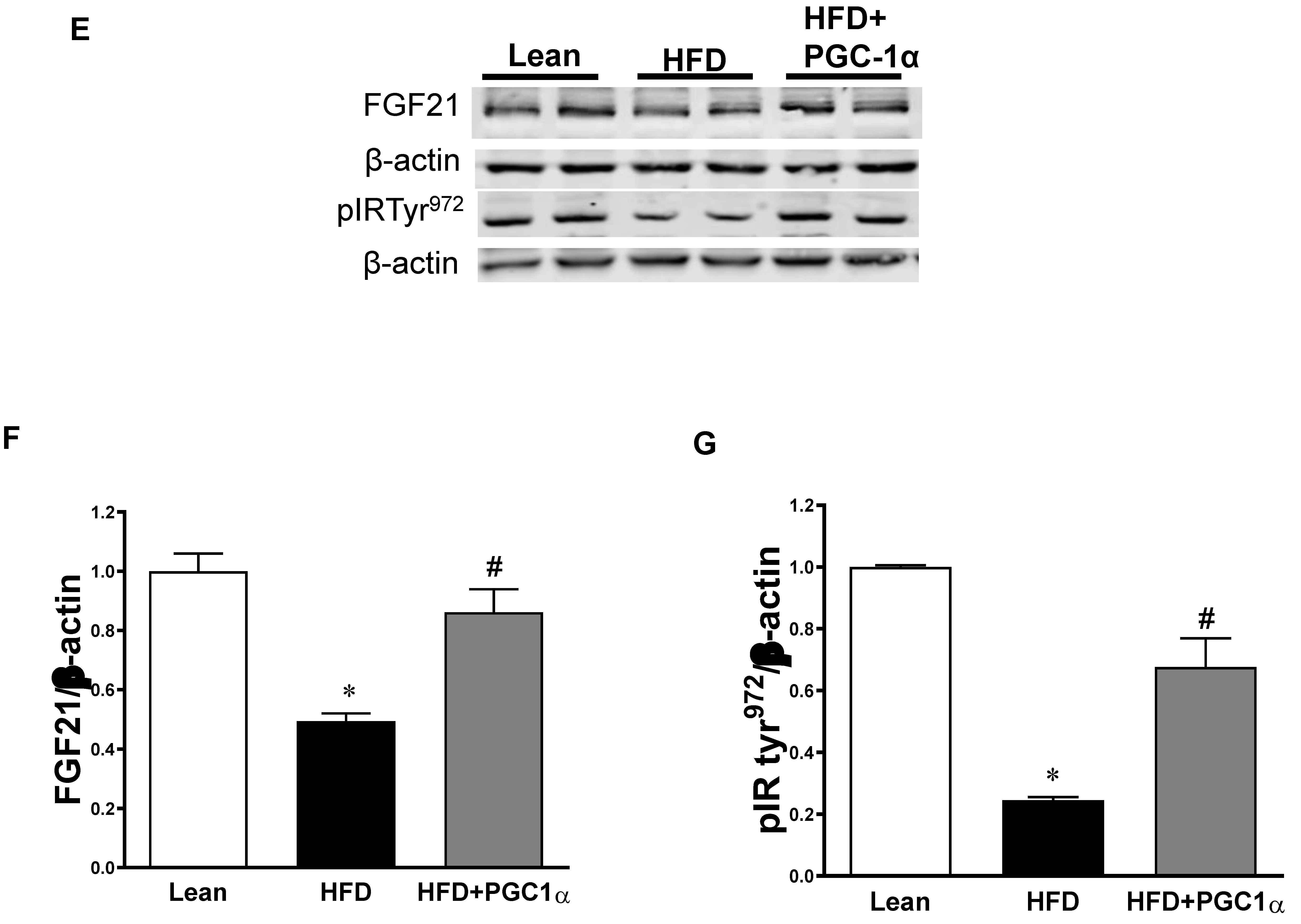 Antioxidants 11 01147 g005b