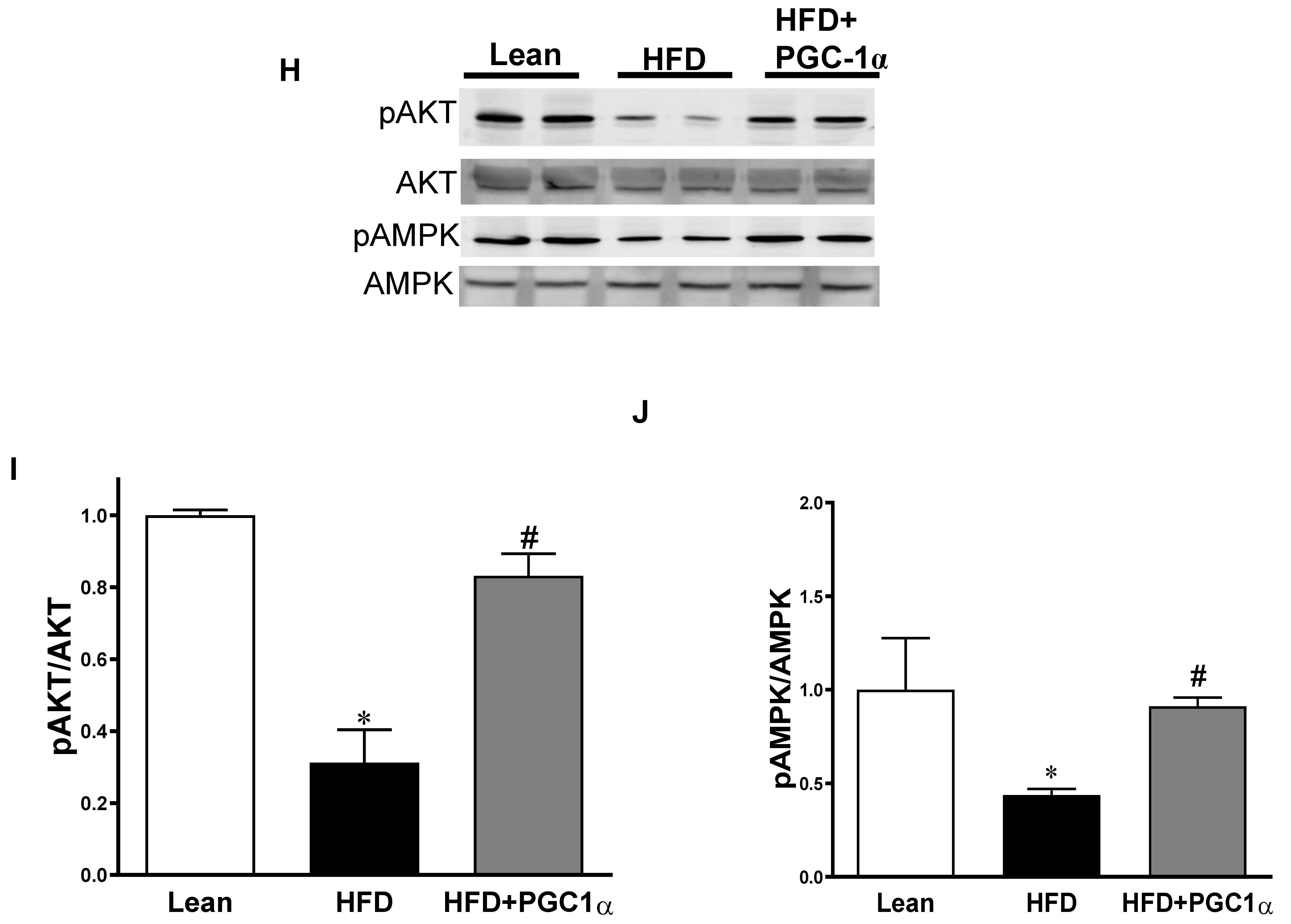 Antioxidants 11 01147 g005c
