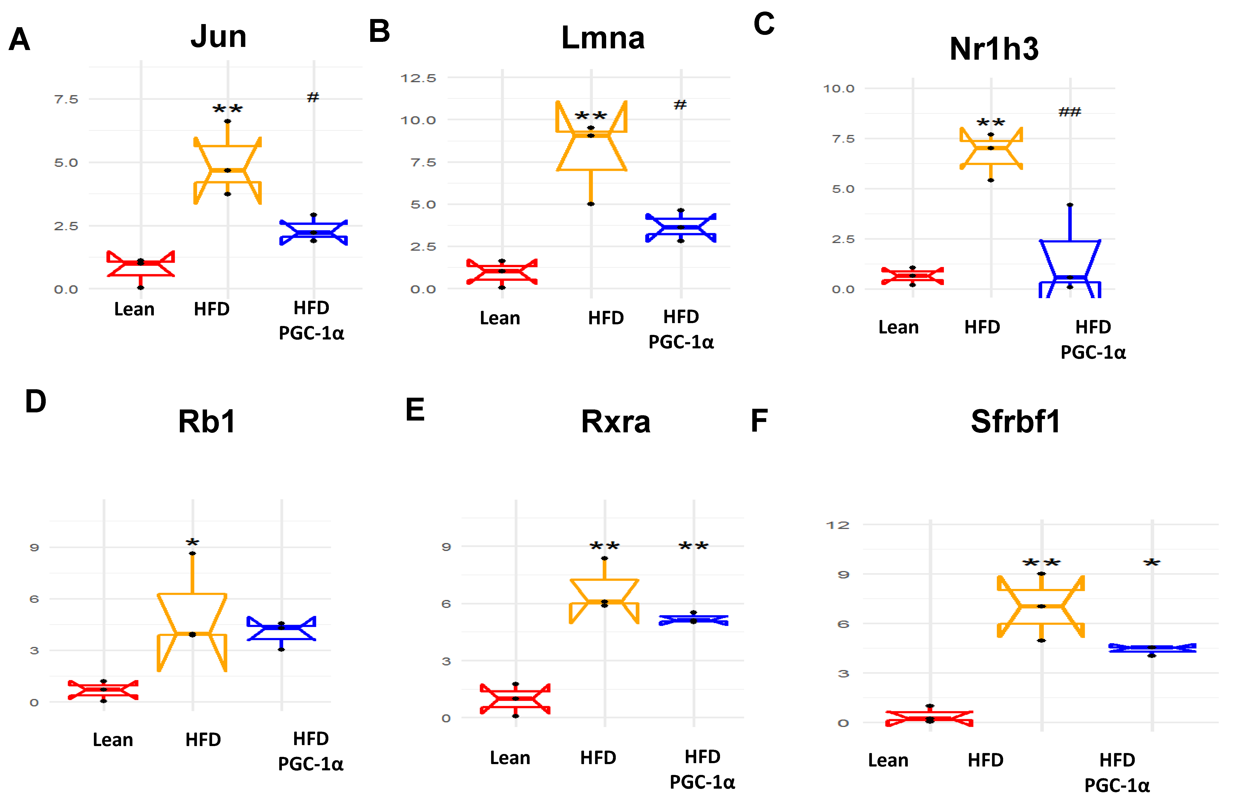 Antioxidants 11 01147 g006