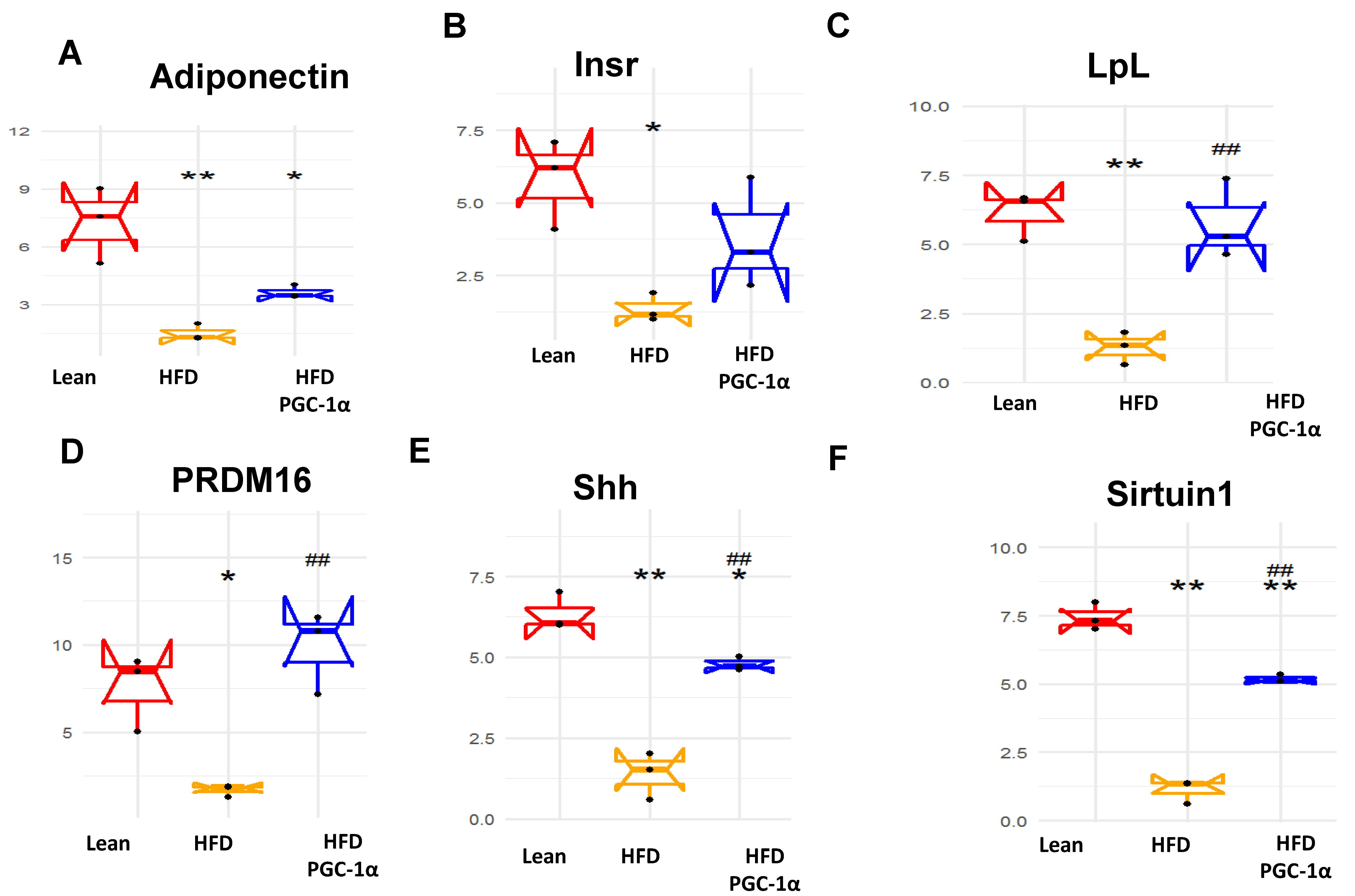 Antioxidants 11 01147 g007a