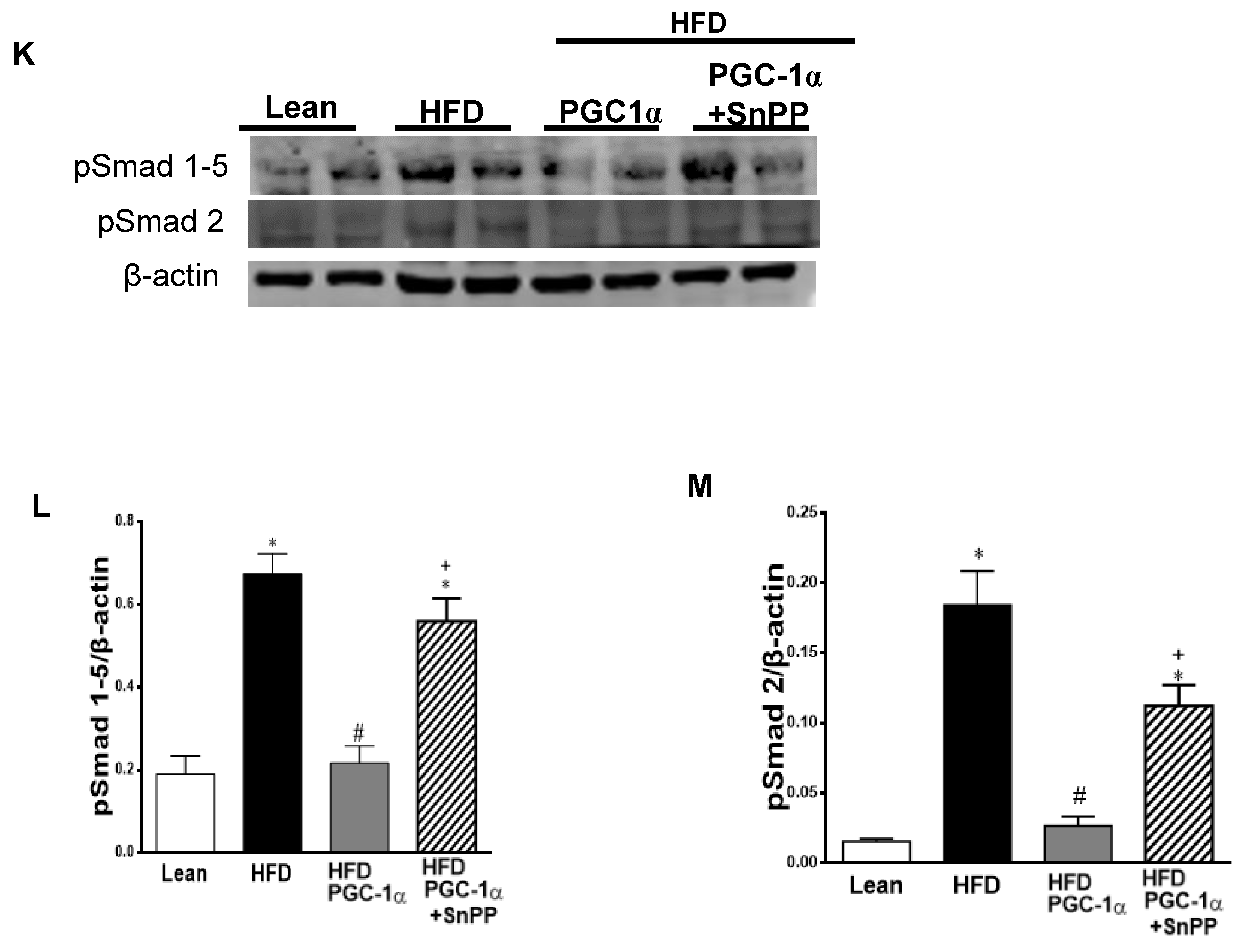 Antioxidants 11 01147 g009d