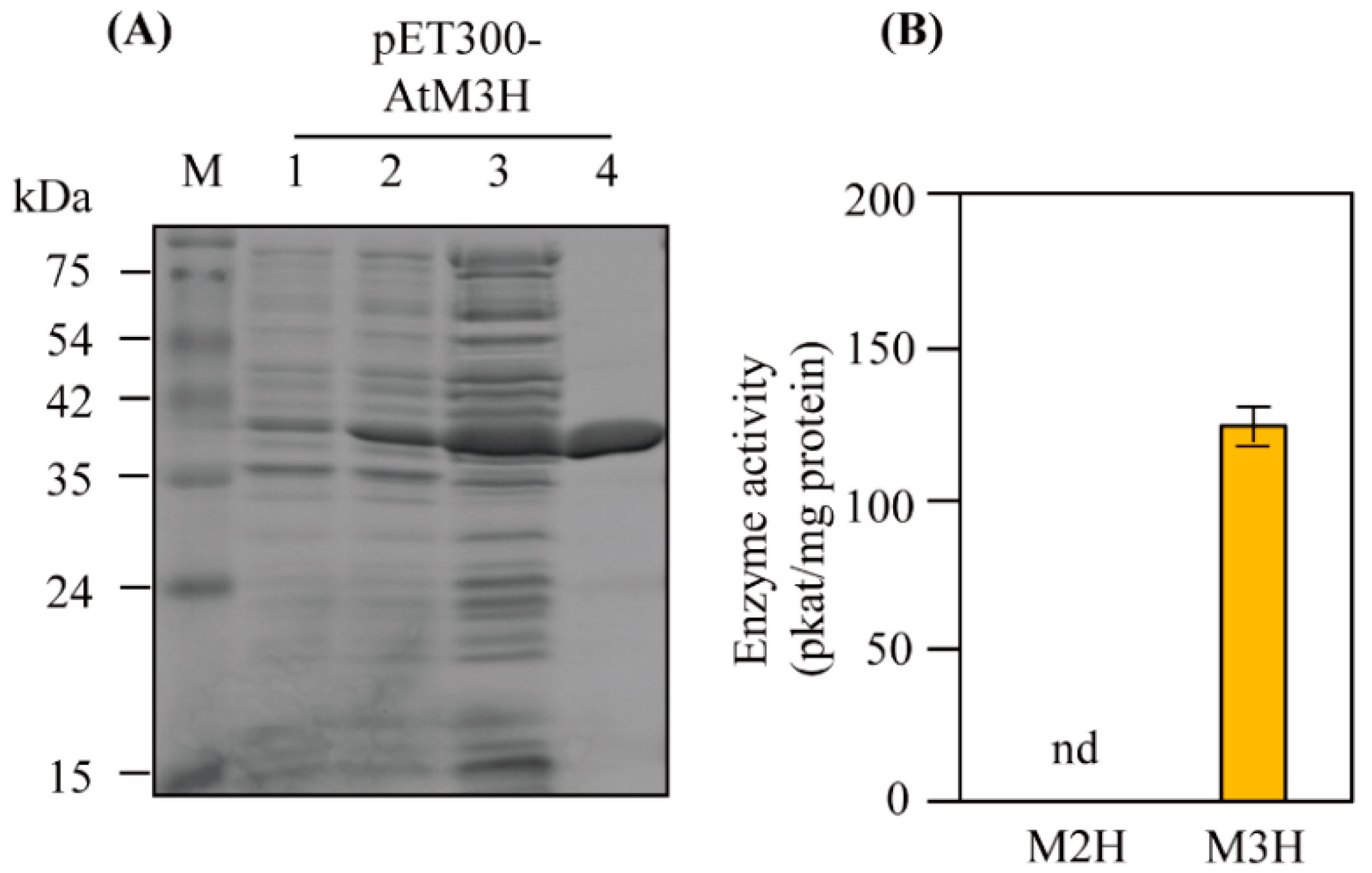 Antioxidants 11 01157 g002