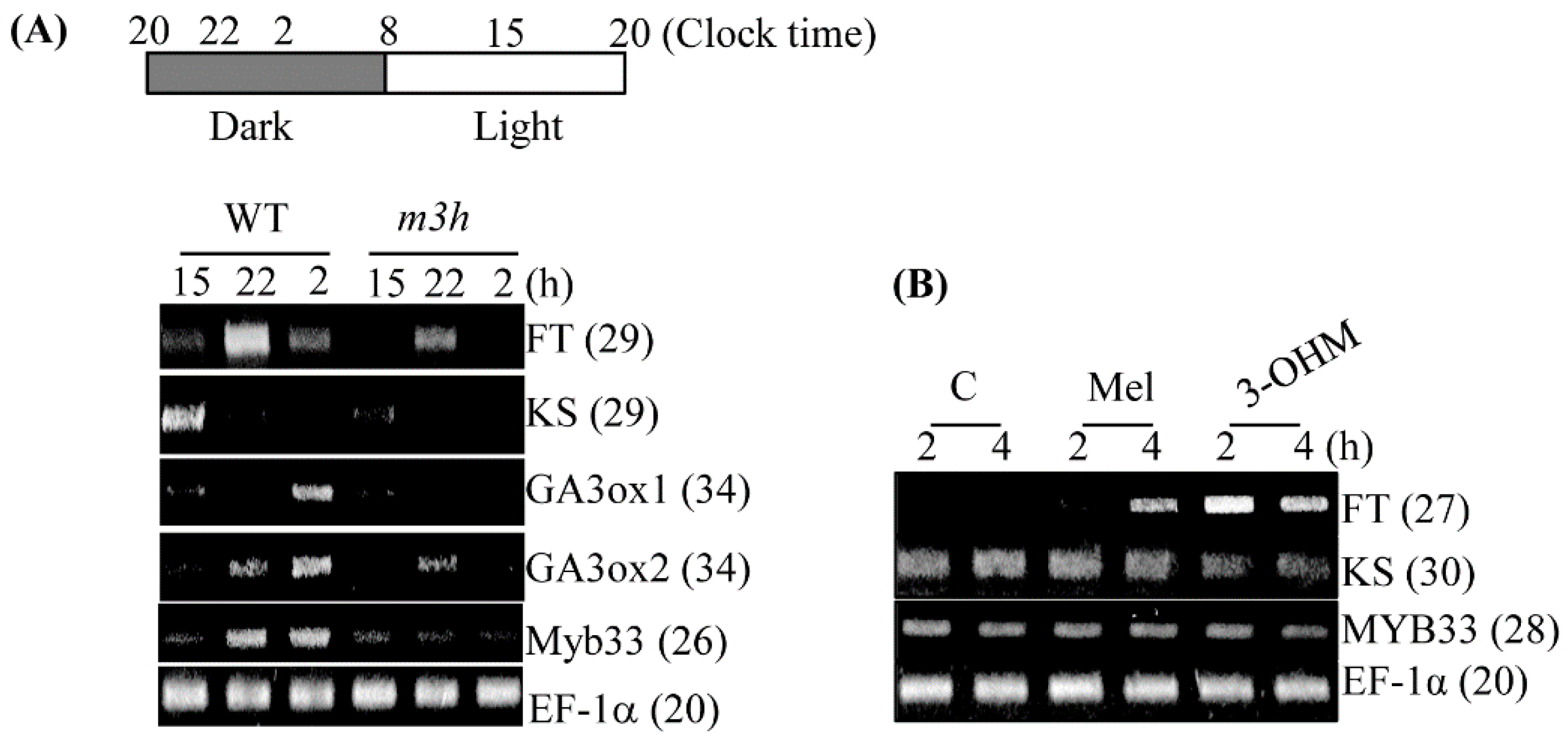 Antioxidants 11 01157 g009