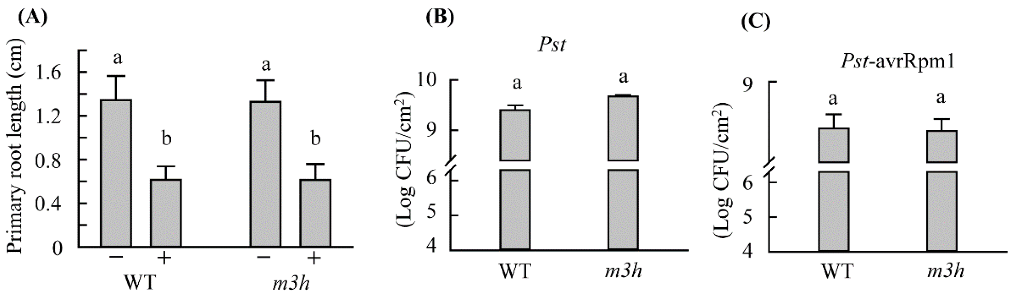 Antioxidants 11 01157 g010
