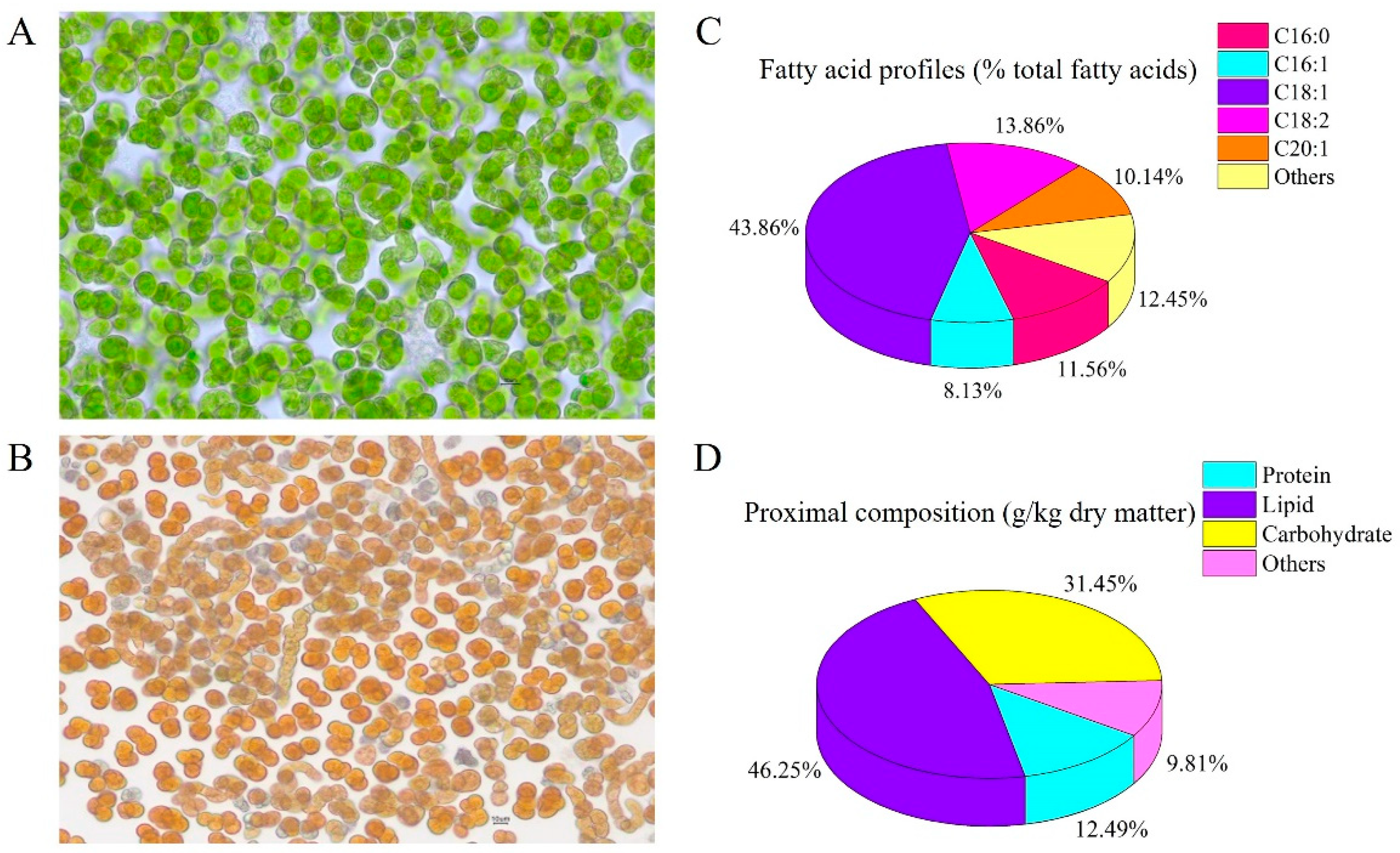 Antioxidants 11 01220 g001