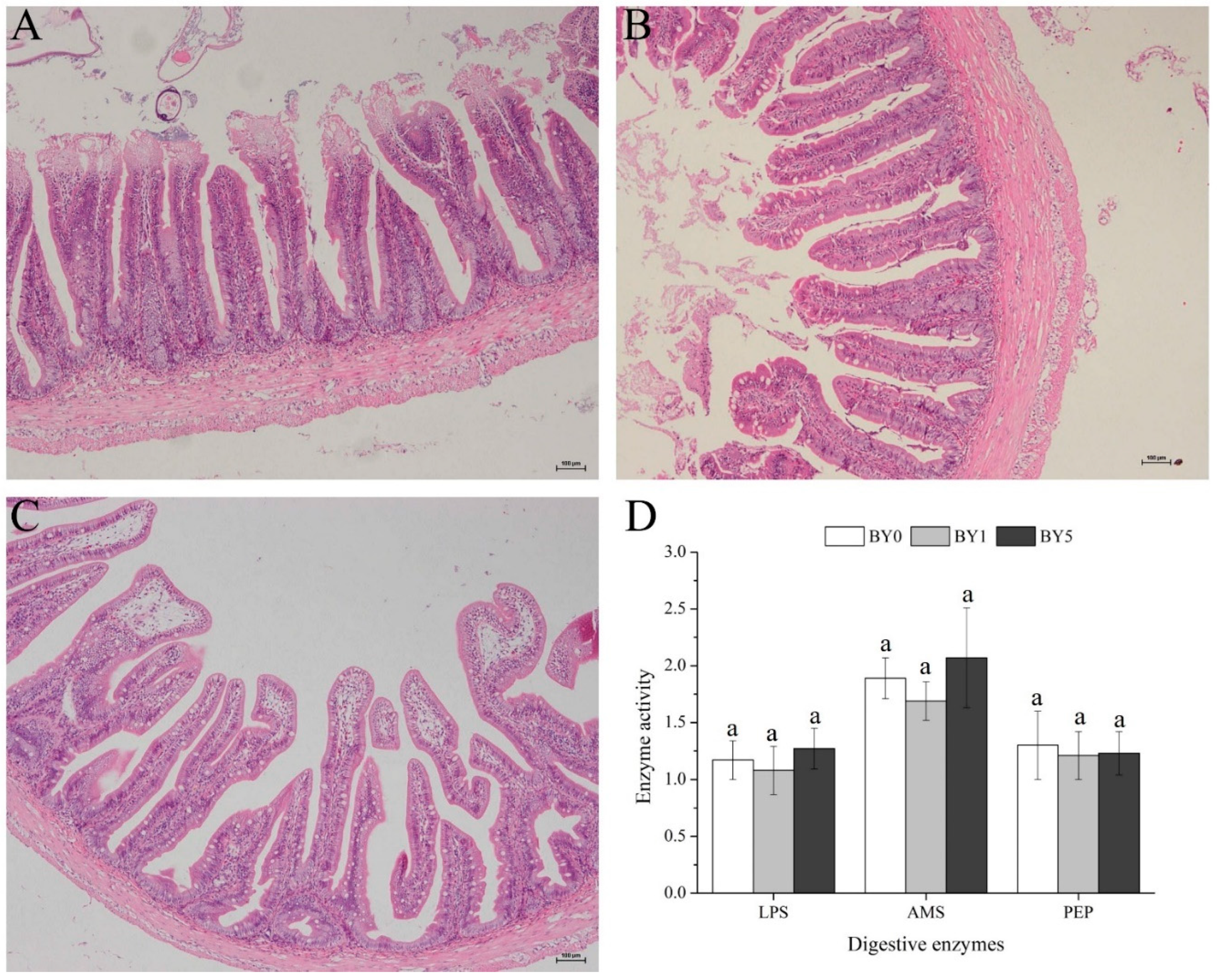 Antioxidants 11 01220 g005
