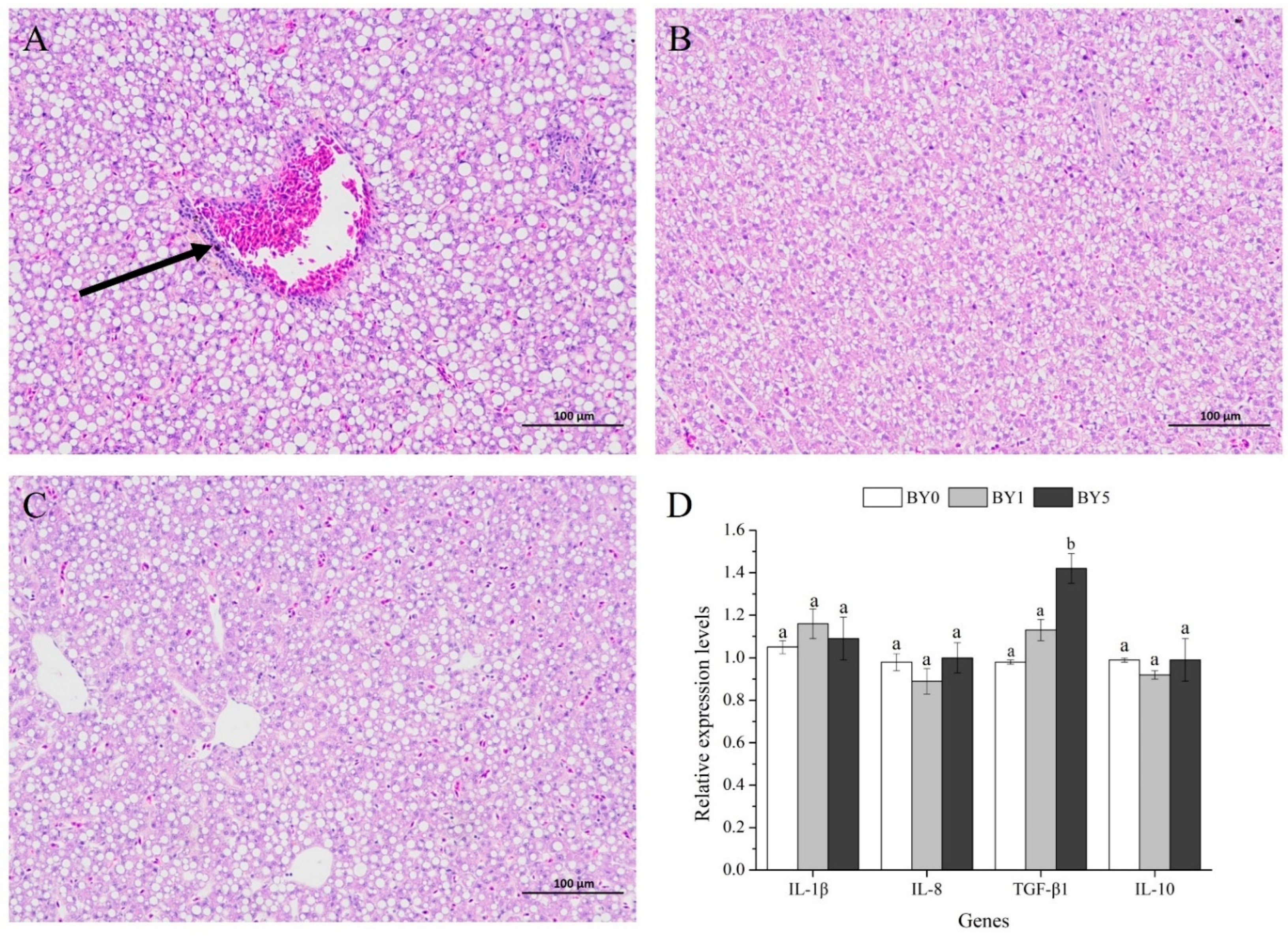 Antioxidants 11 01220 g006