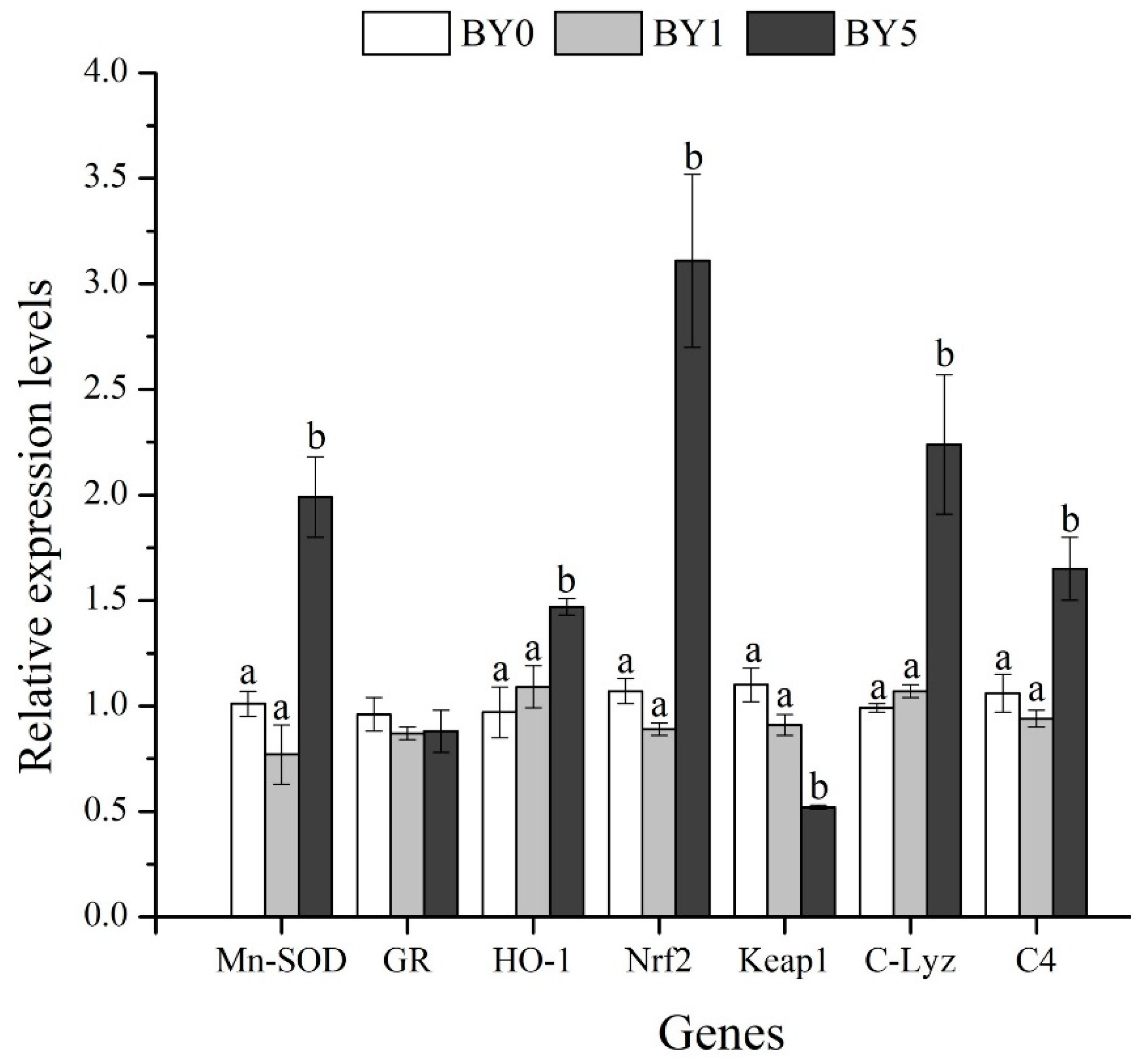 Antioxidants 11 01220 g007