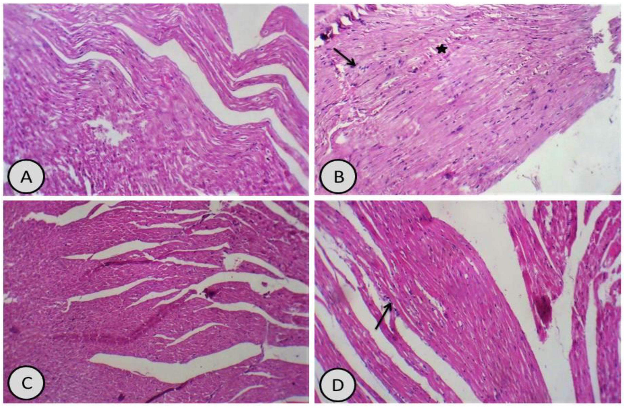 Antioxidants 11 01229 g006