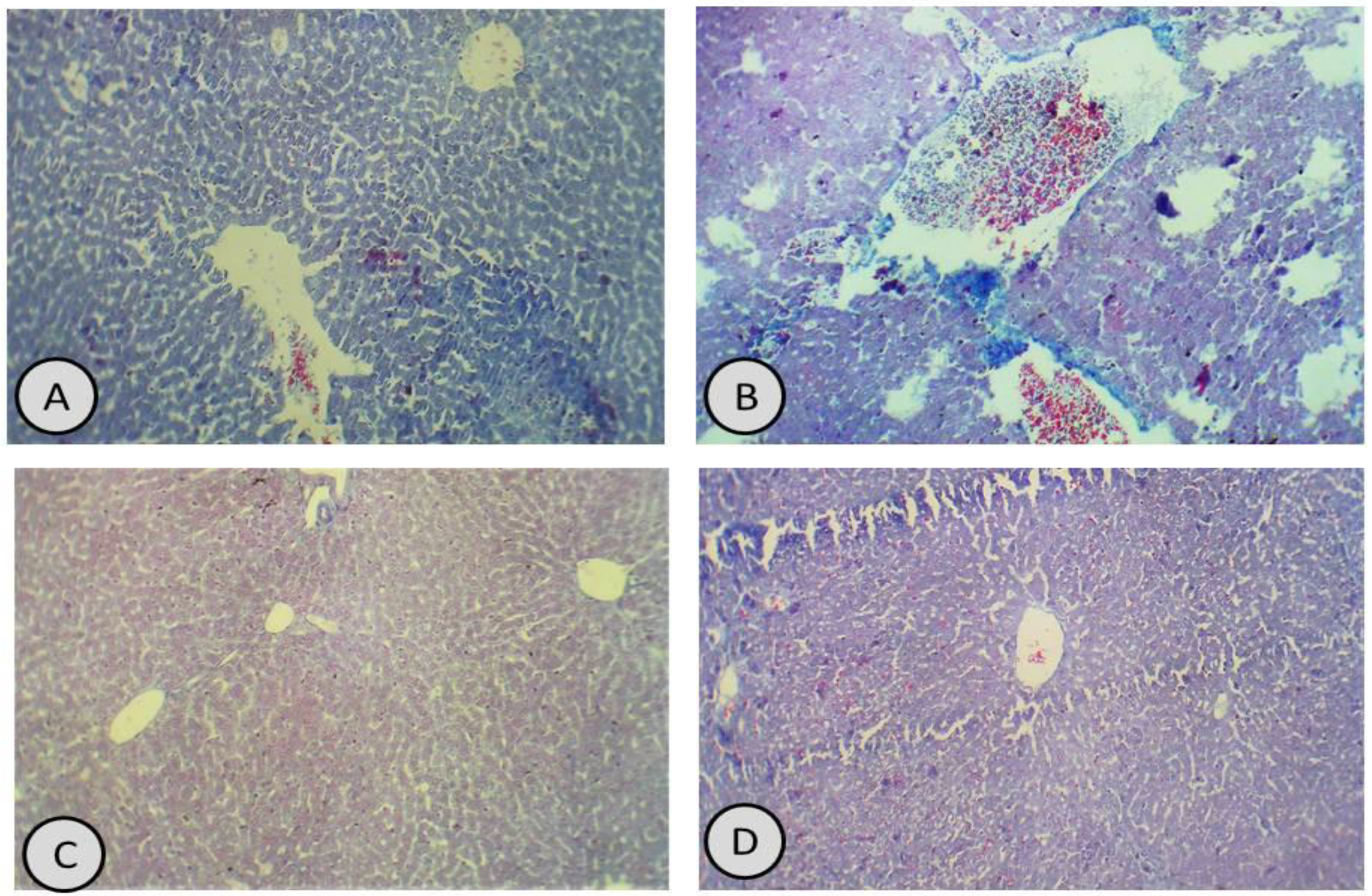 Antioxidants 11 01229 g007