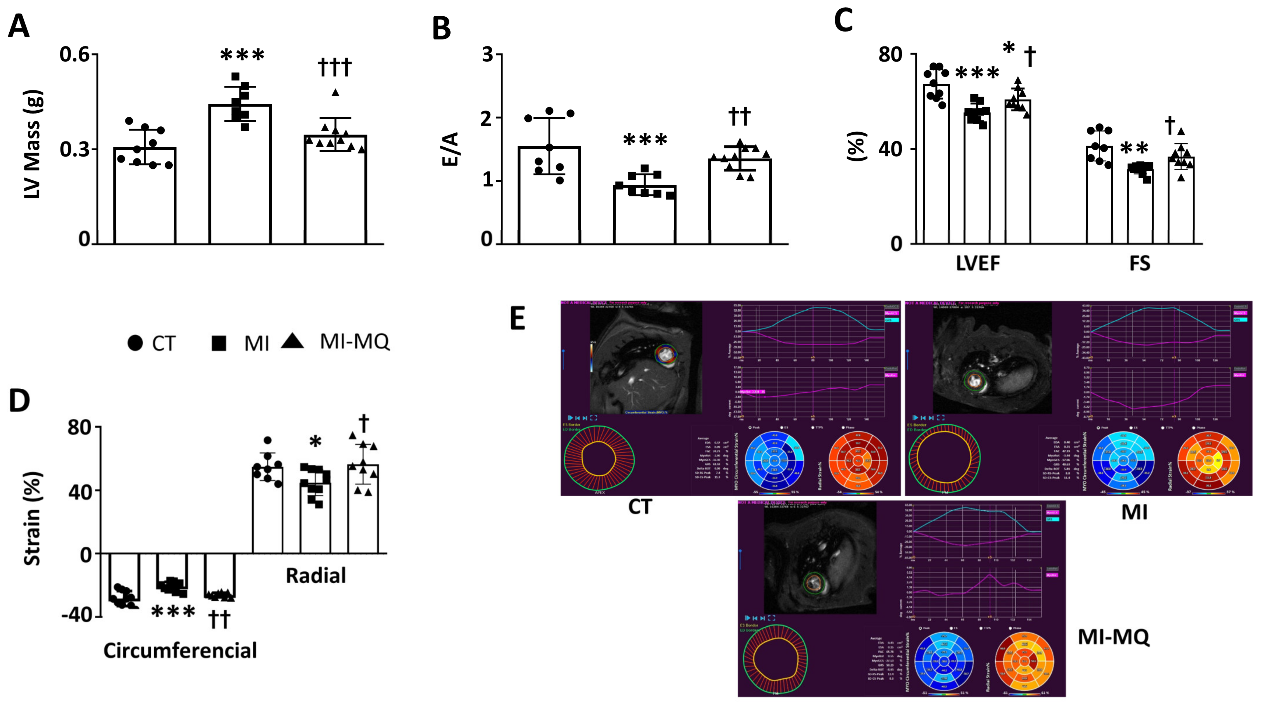 Antioxidants 11 01232 g001