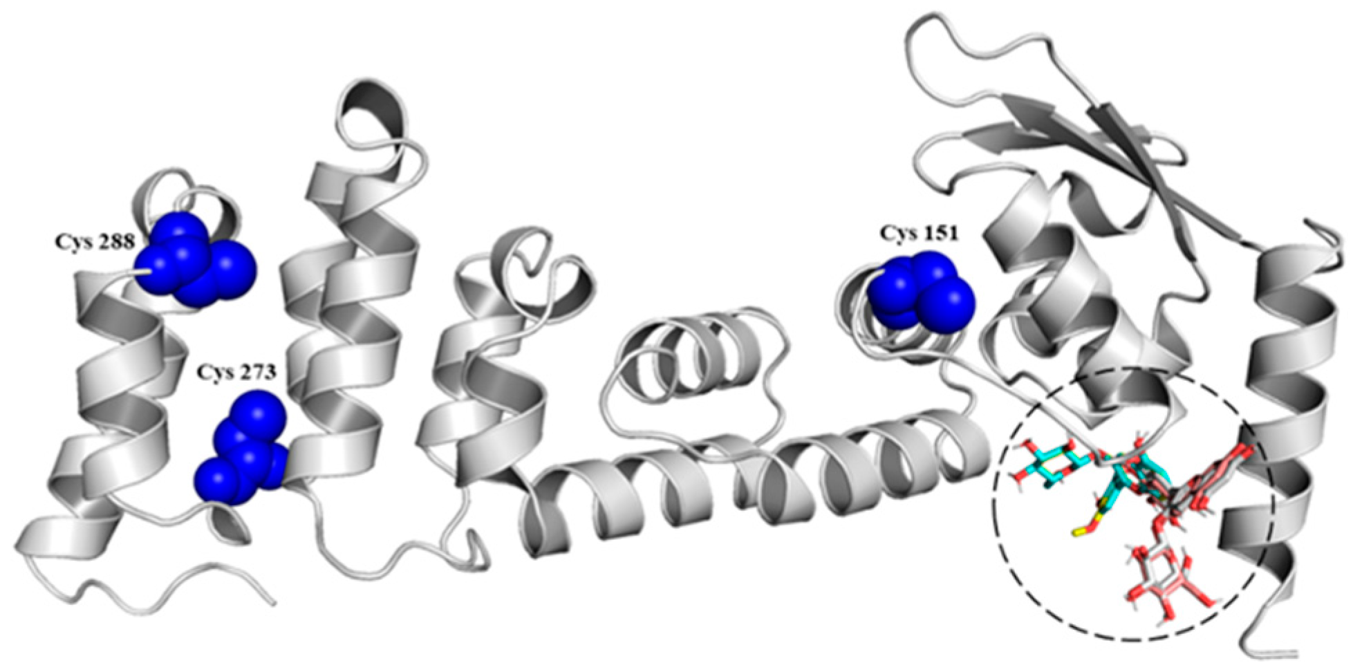 Antioxidants 11 01239 g002