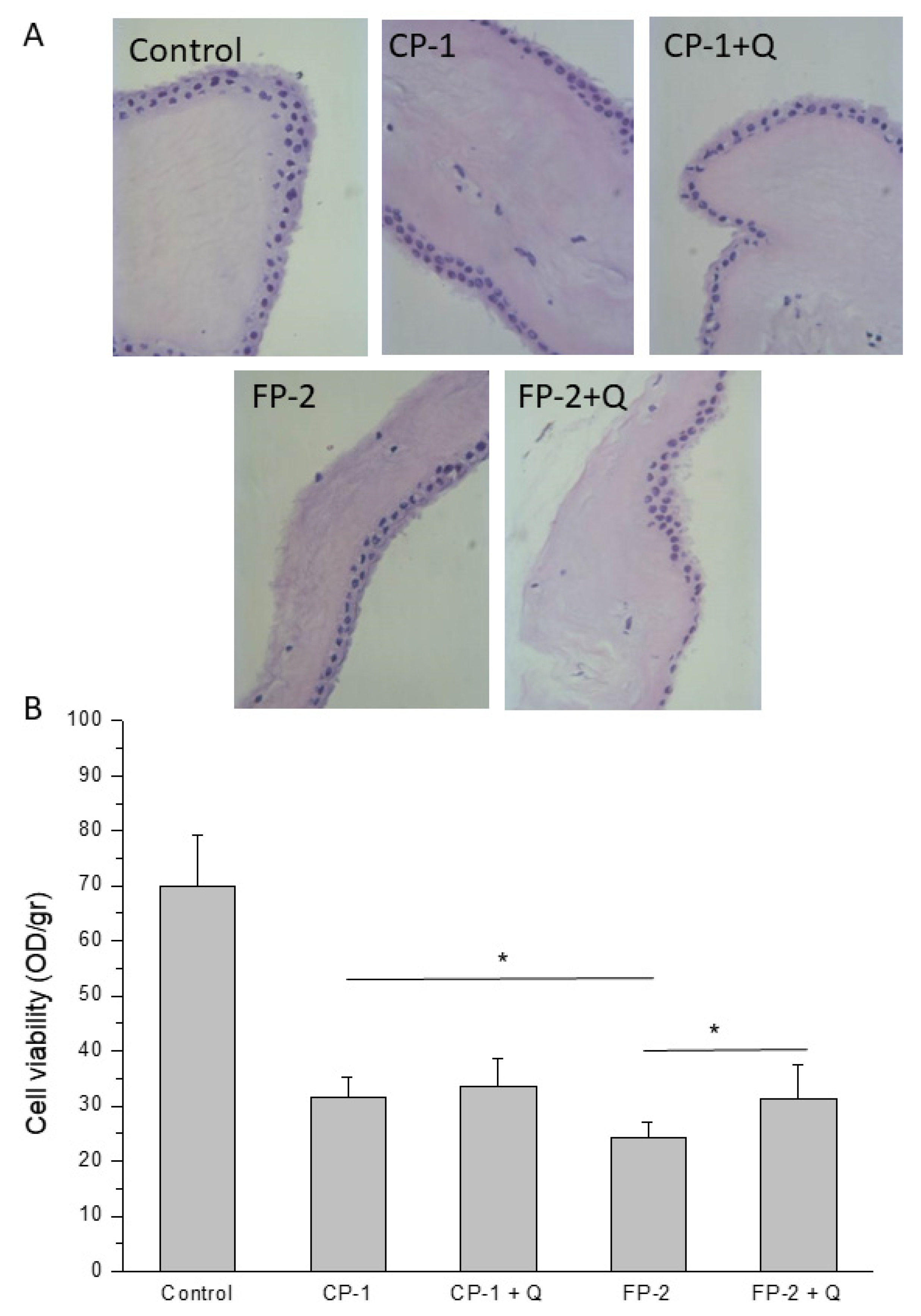 Antioxidants 11 01250 g004 Antioxidants 11 01250 g004