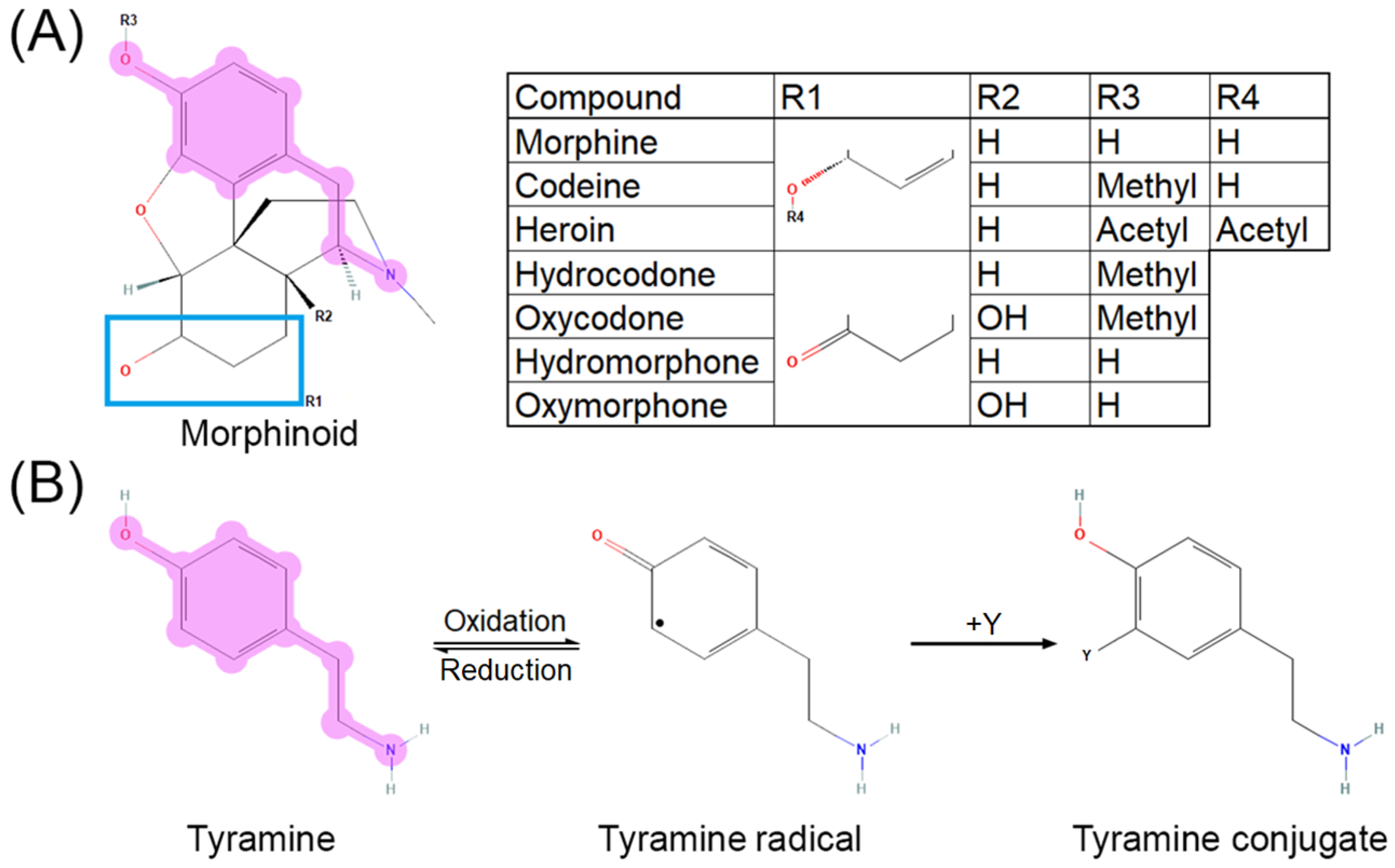 Antioxidants 11 01267 g002