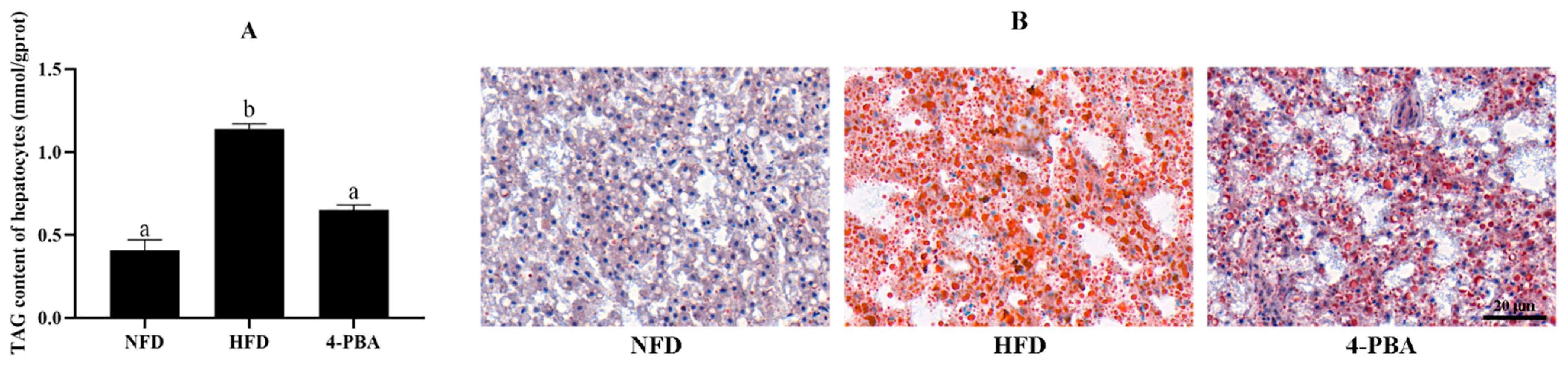 Antioxidants 11 01276 g002