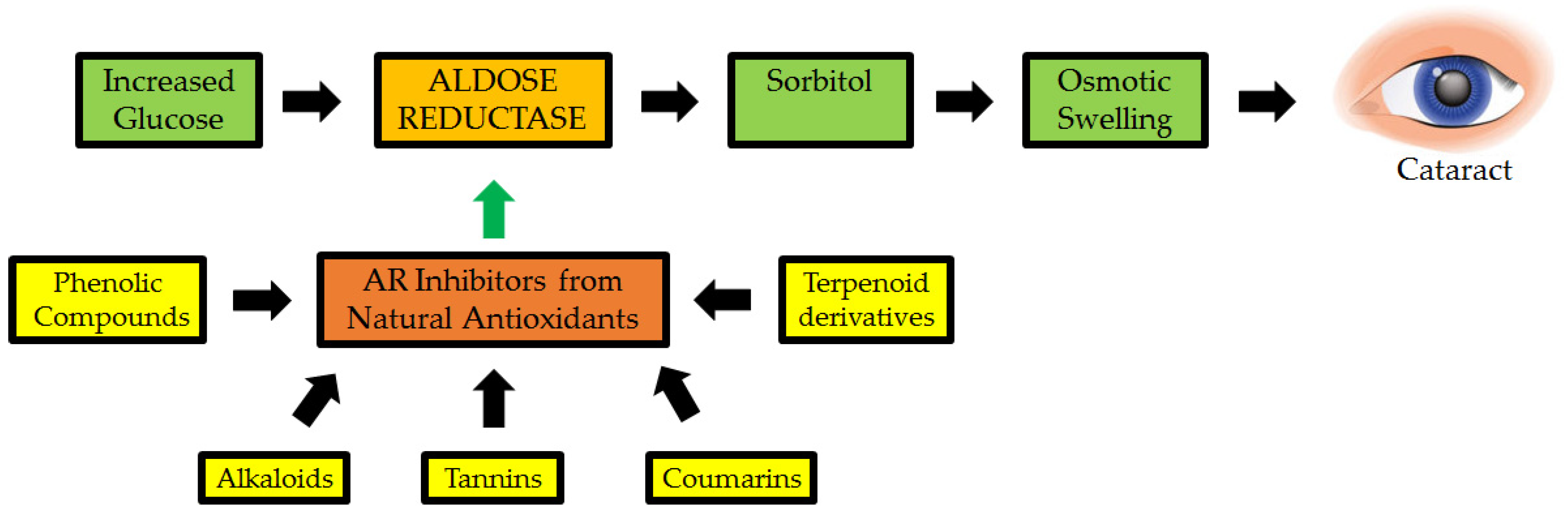 Antioxidants 11 01285 g007 Antioxidants 11 01285 g007