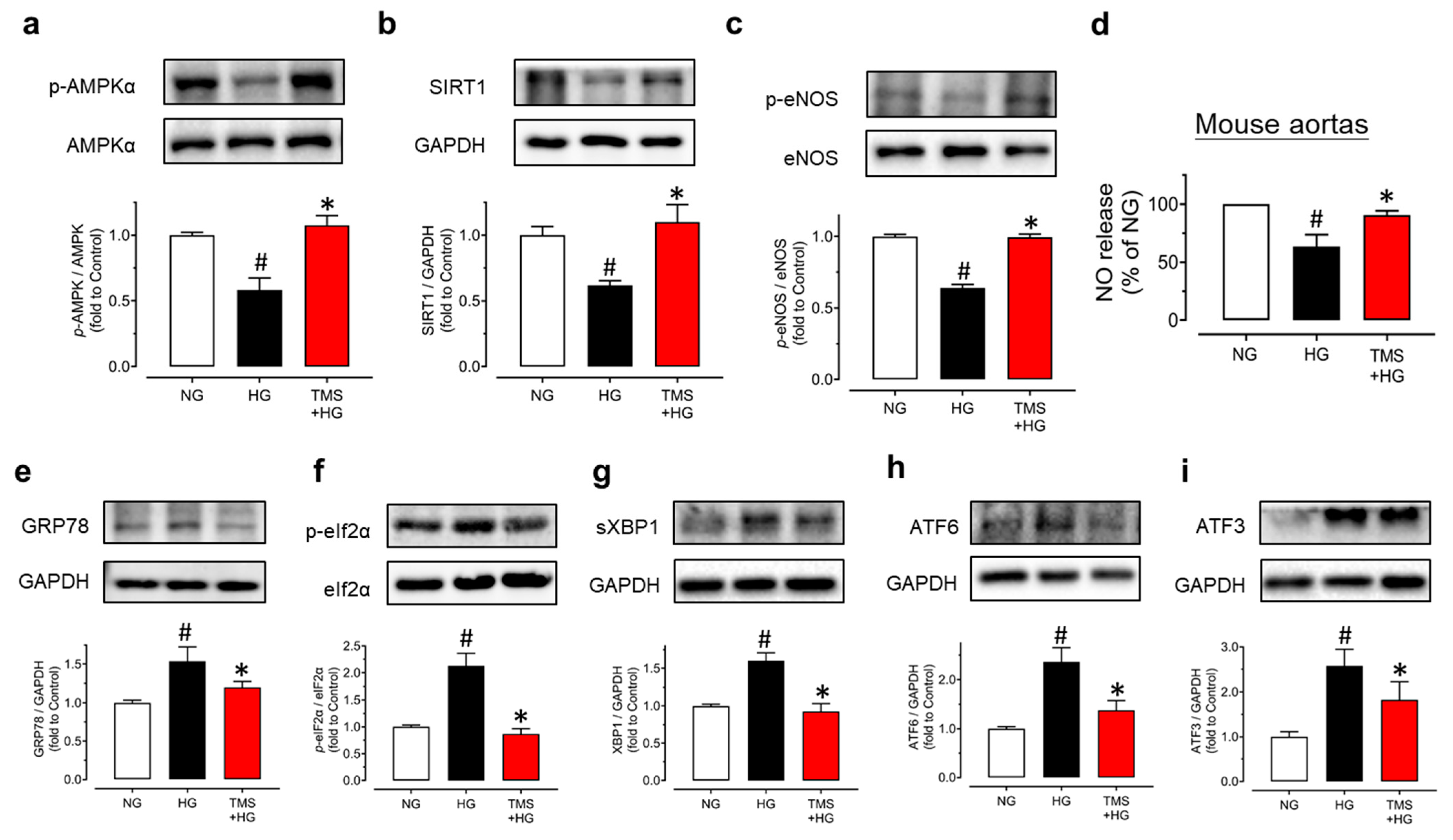 Antioxidants 11 01286 g003