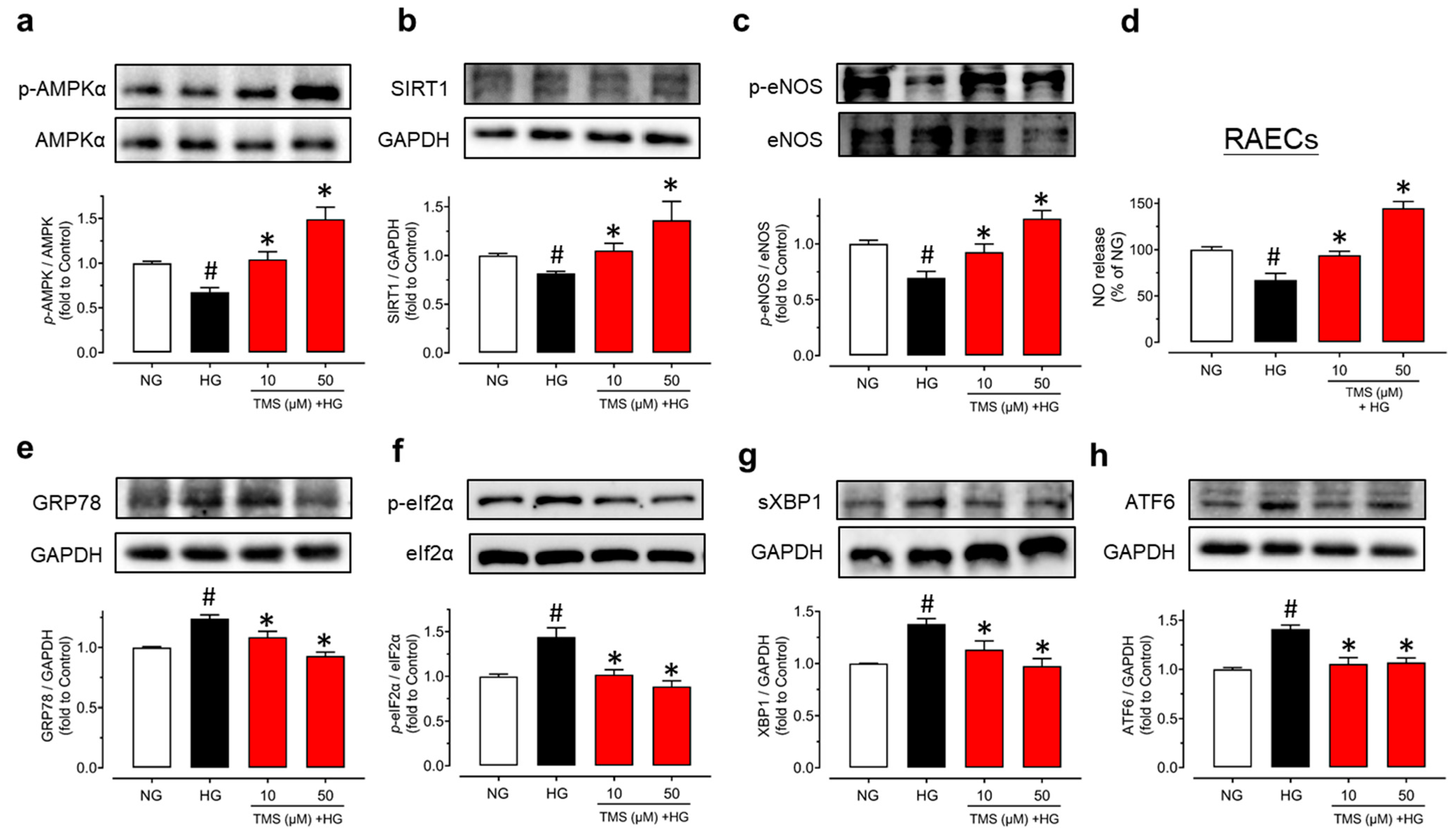 Antioxidants 11 01286 g005