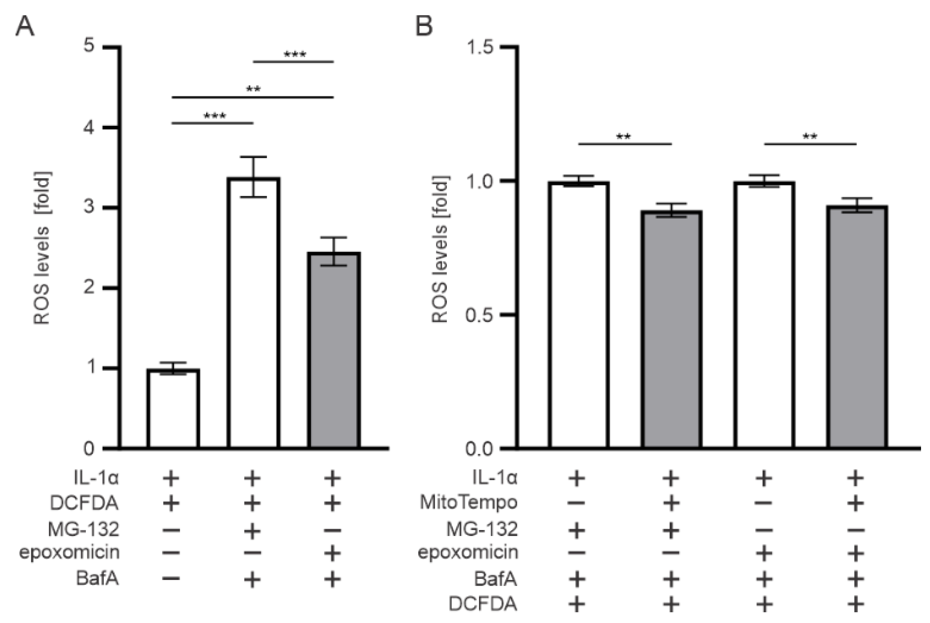 Antioxidants 11 01288 g008