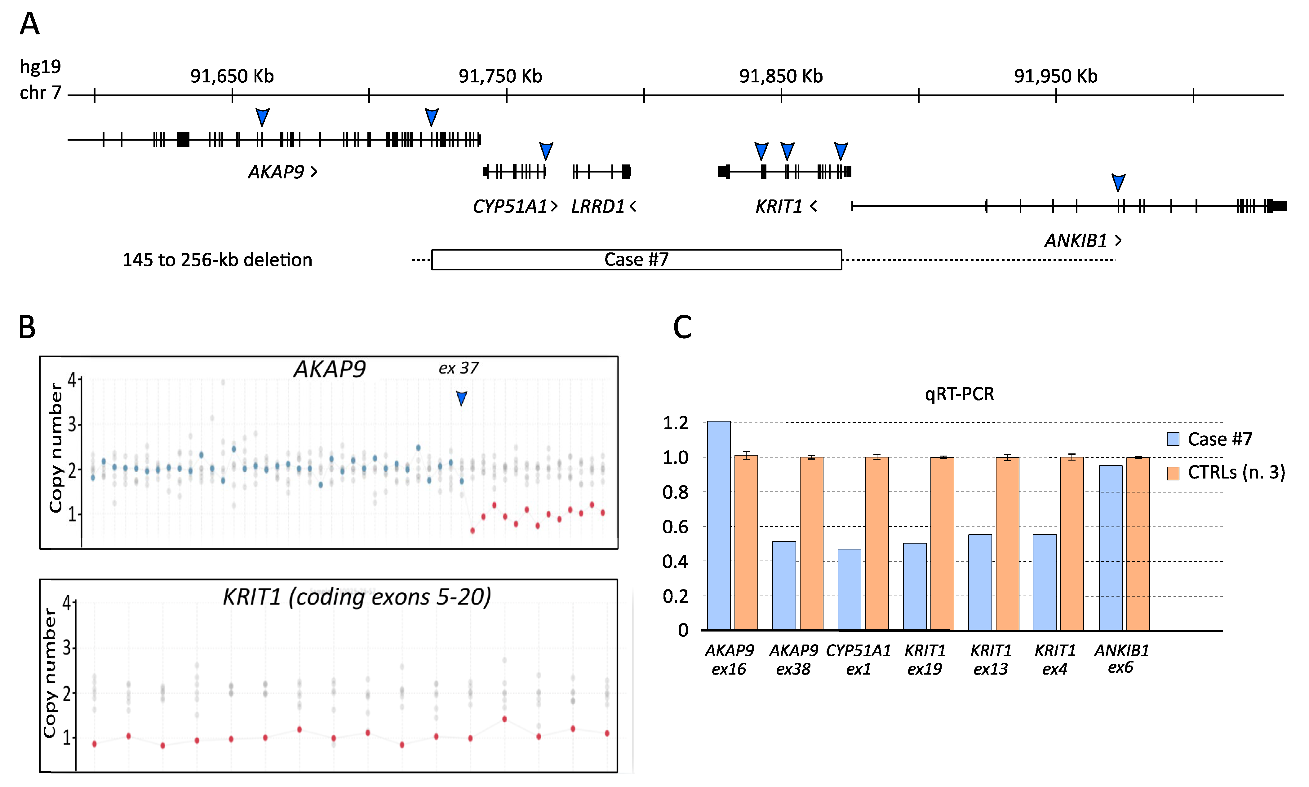 Antioxidants 11 01294 g002