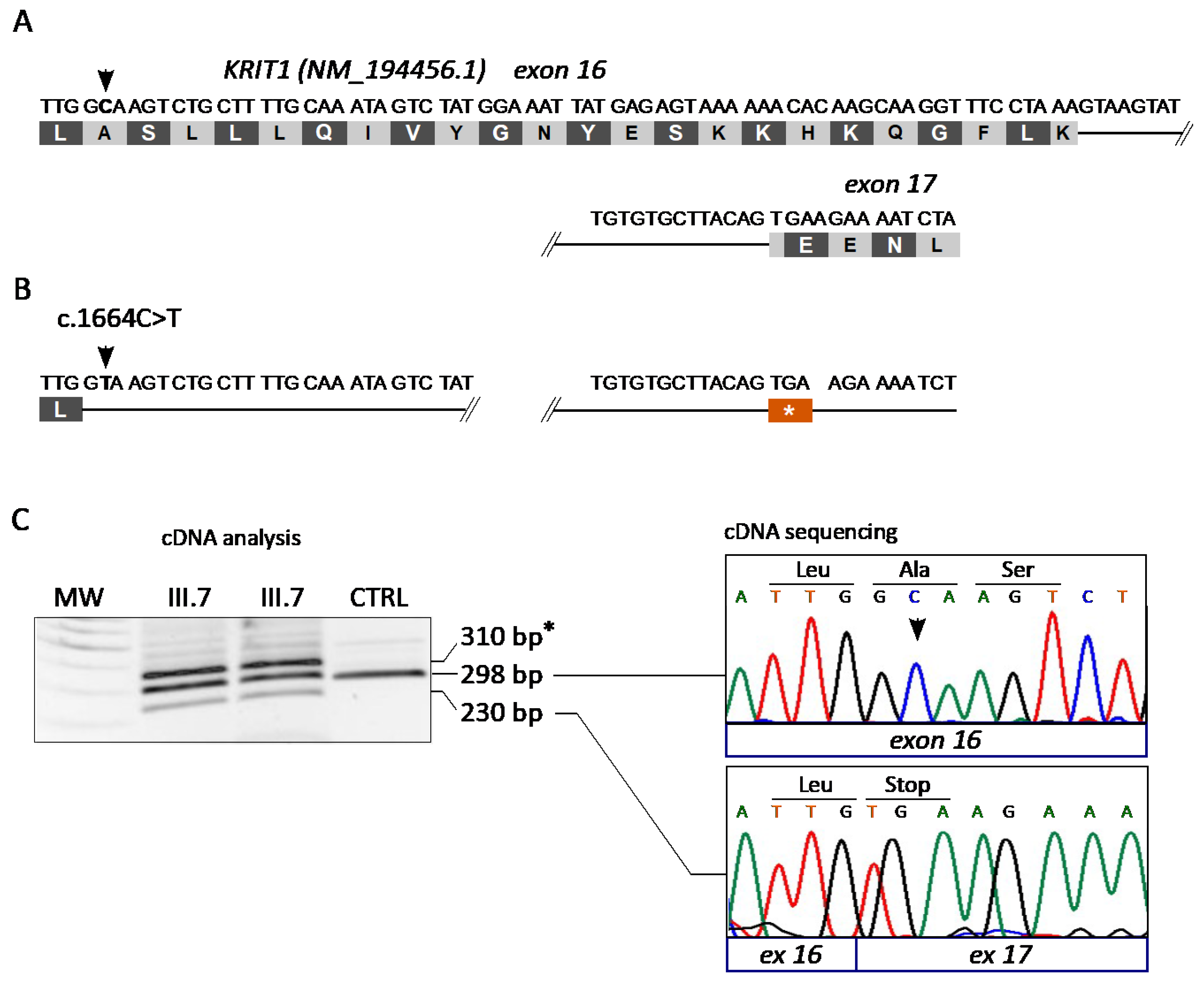 Antioxidants 11 01294 g003