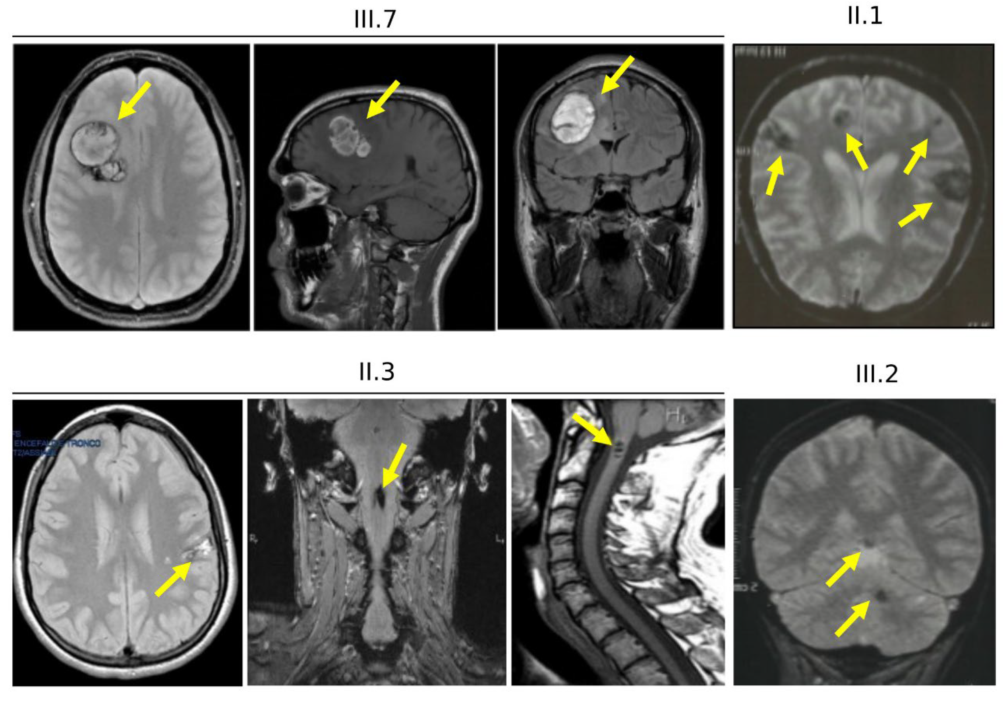 Antioxidants 11 01294 g004