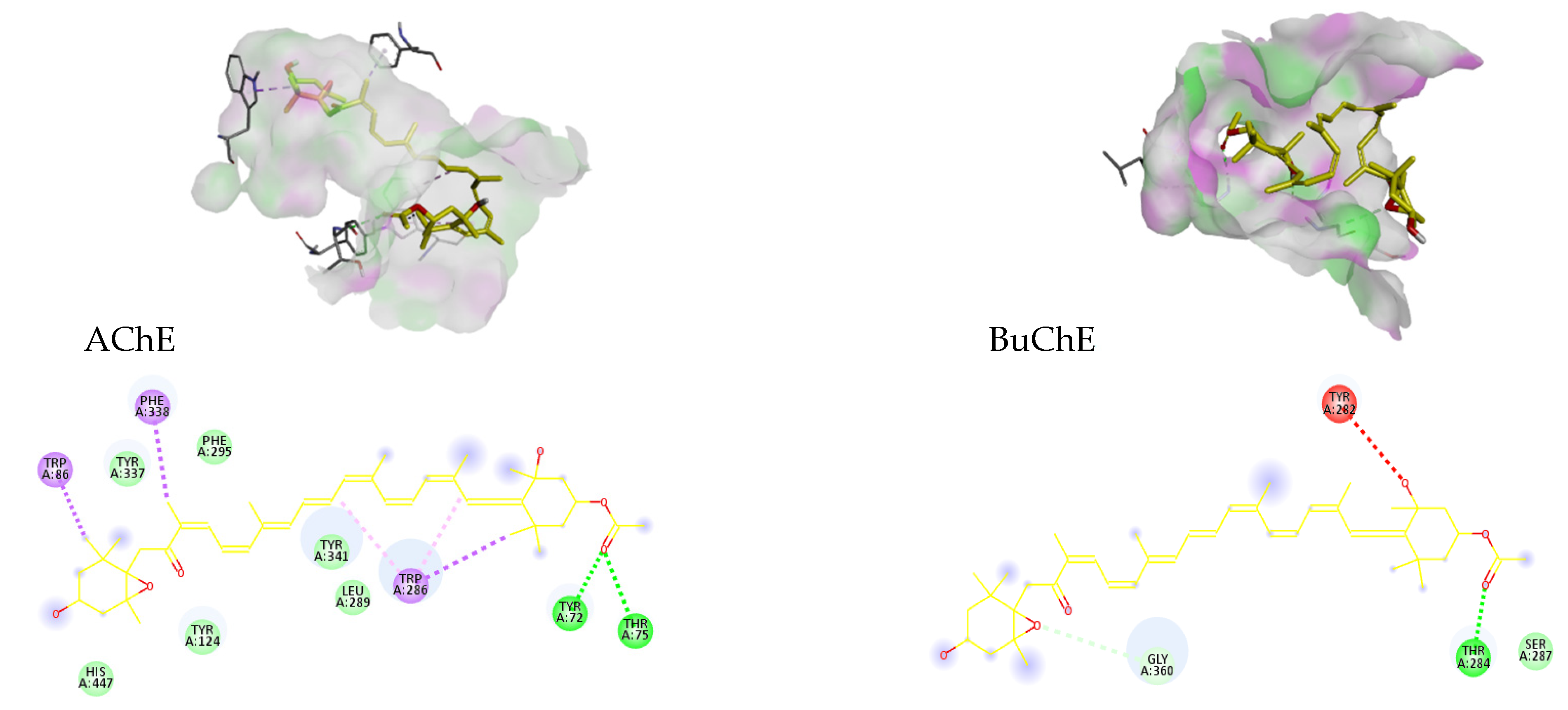 Antioxidants 11 01296 g005b