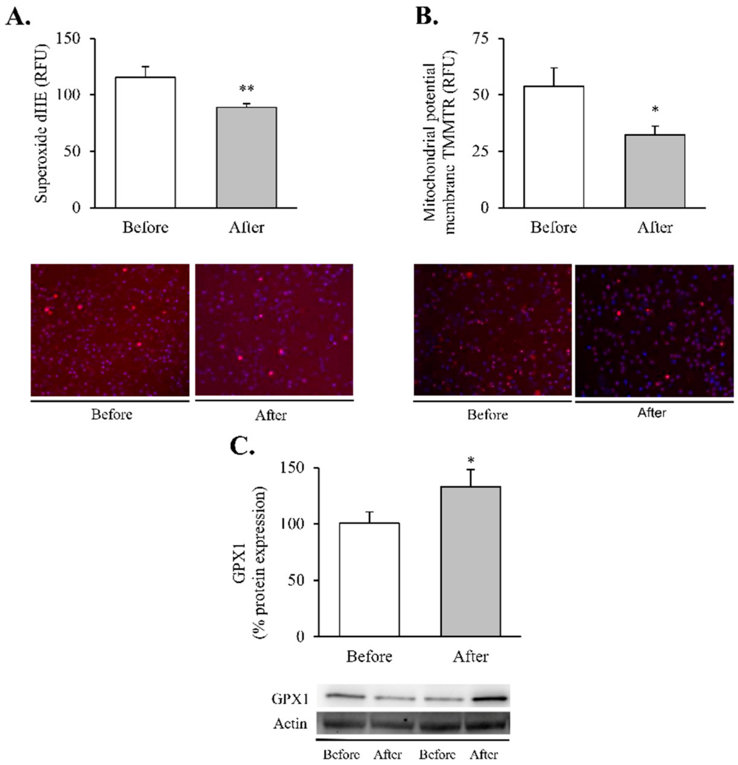 Antioxidants 11 01302 g002
