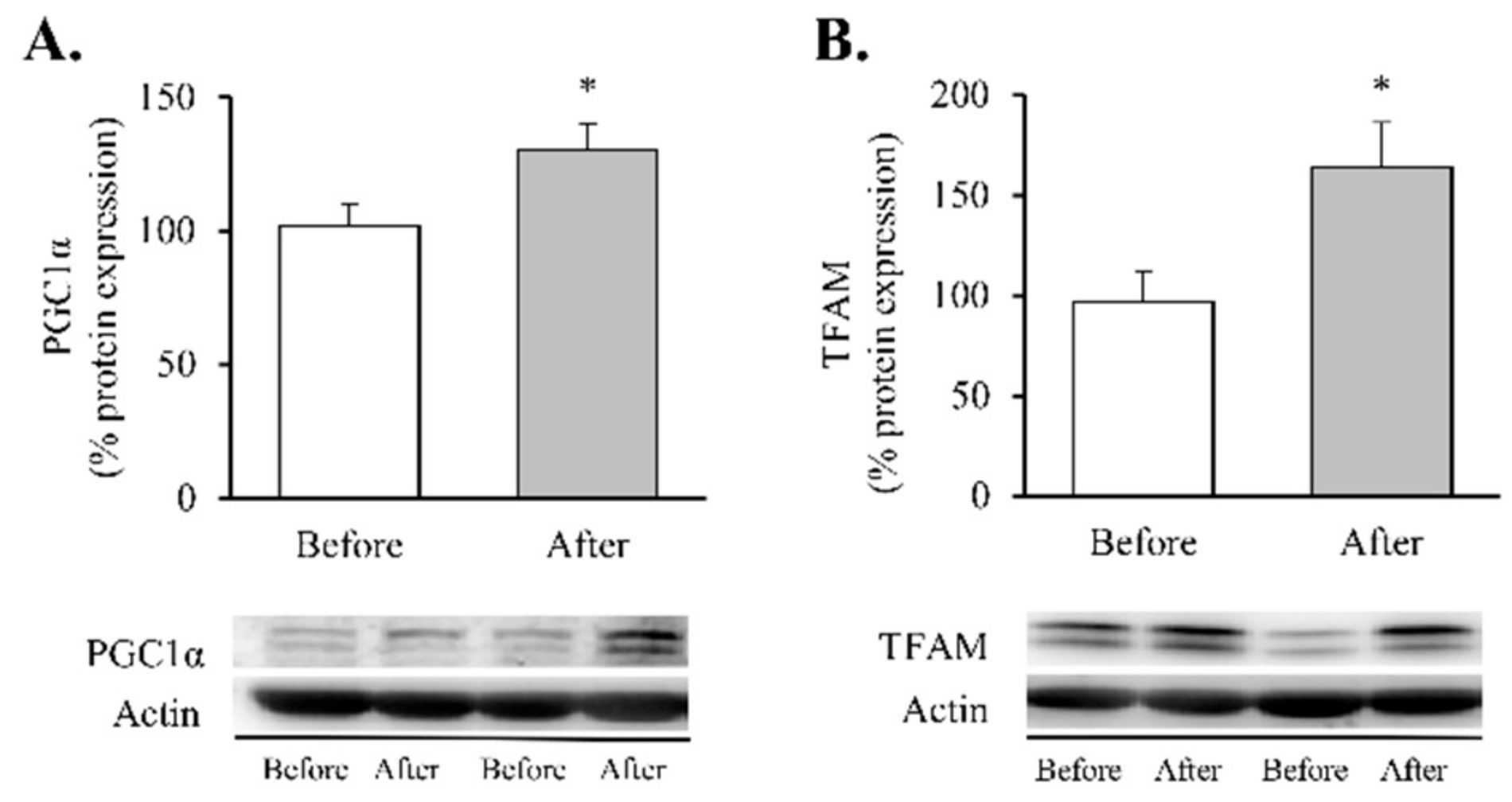 Antioxidants 11 01302 g003