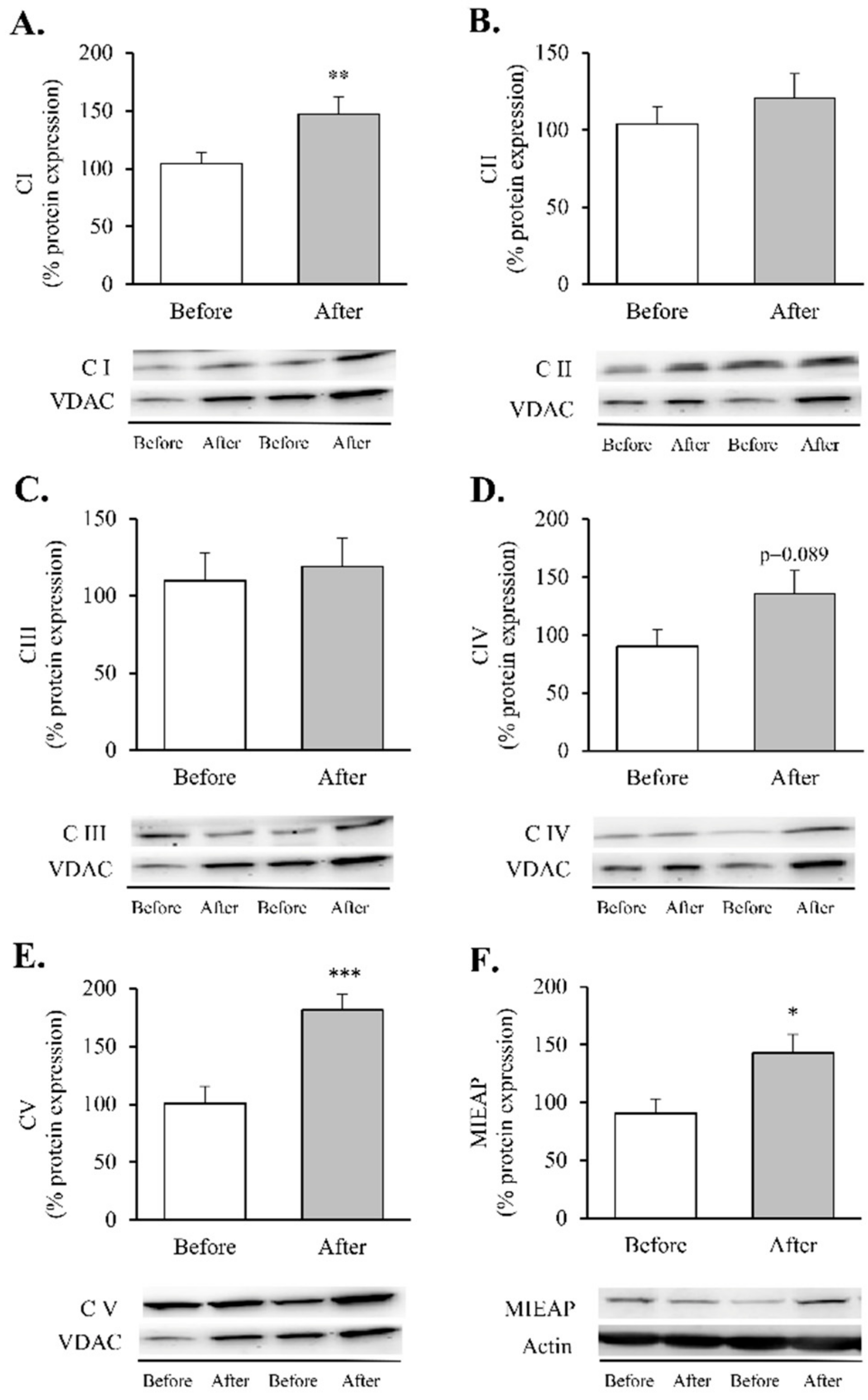 Antioxidants 11 01302 g004