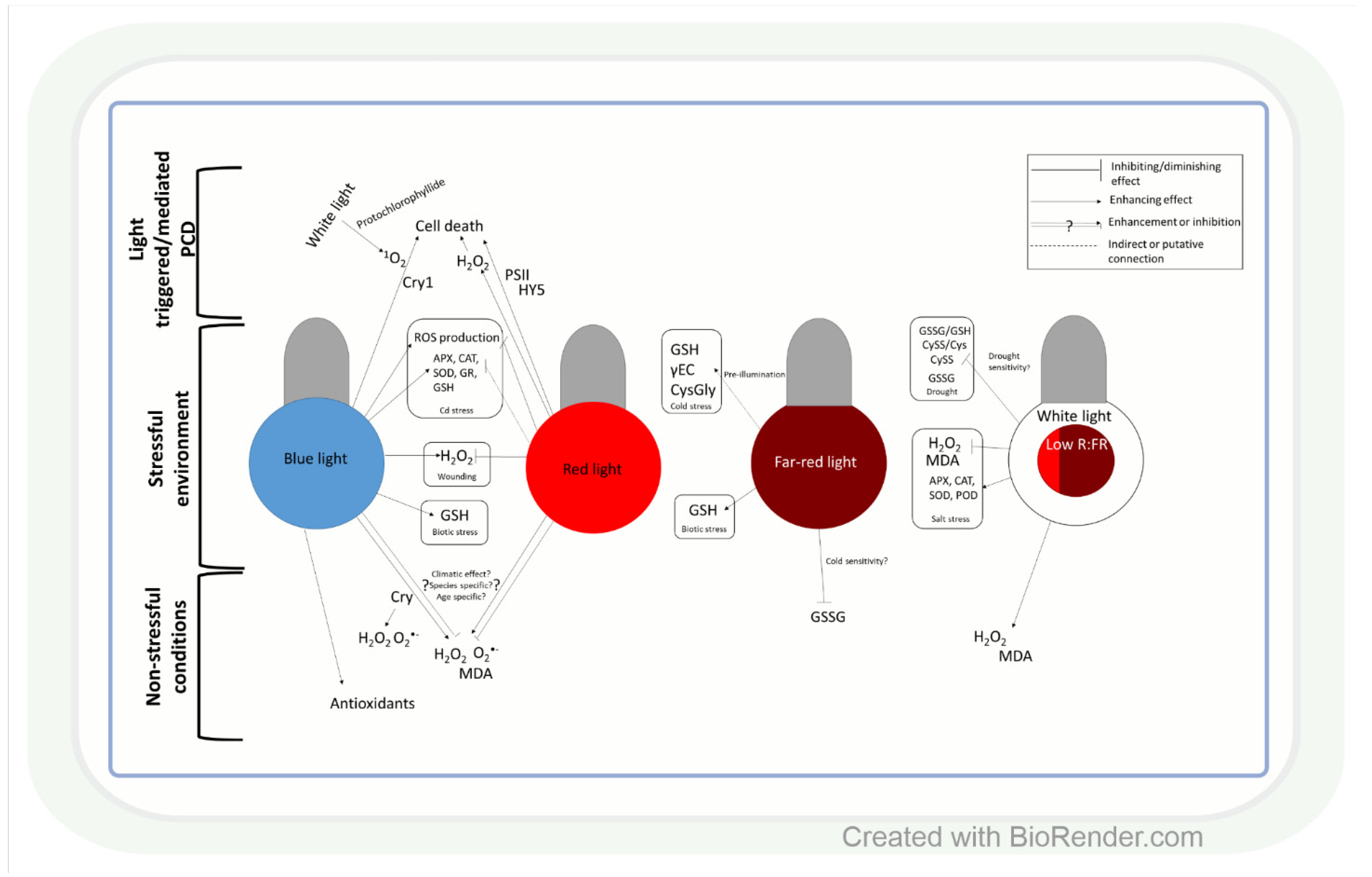 Antioxidants 11 01311 g002