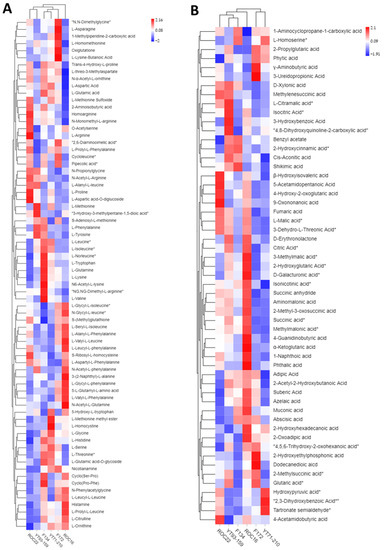 Antioxidants | Free Full-Text | Transcriptomic and Widely Targeted