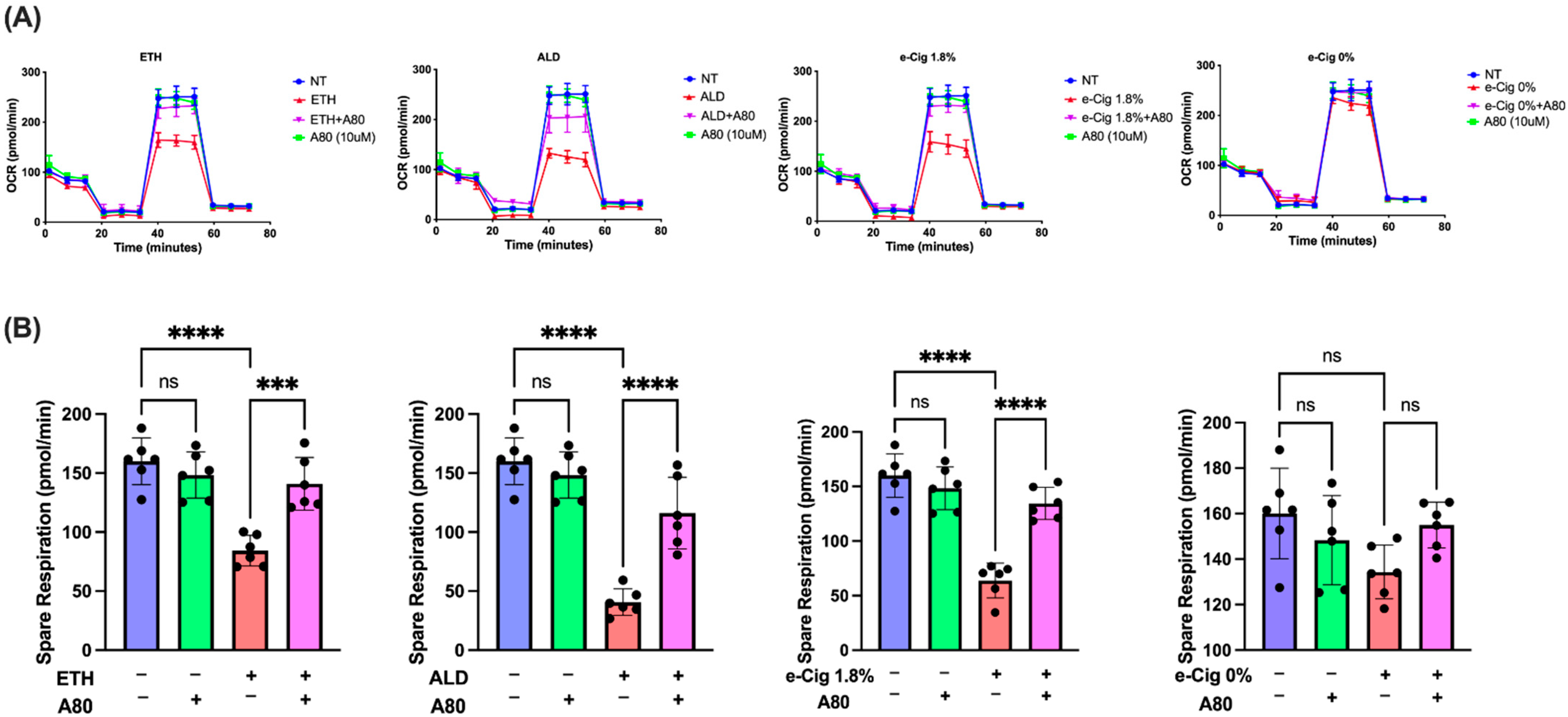 Antioxidants 11 01328 g001