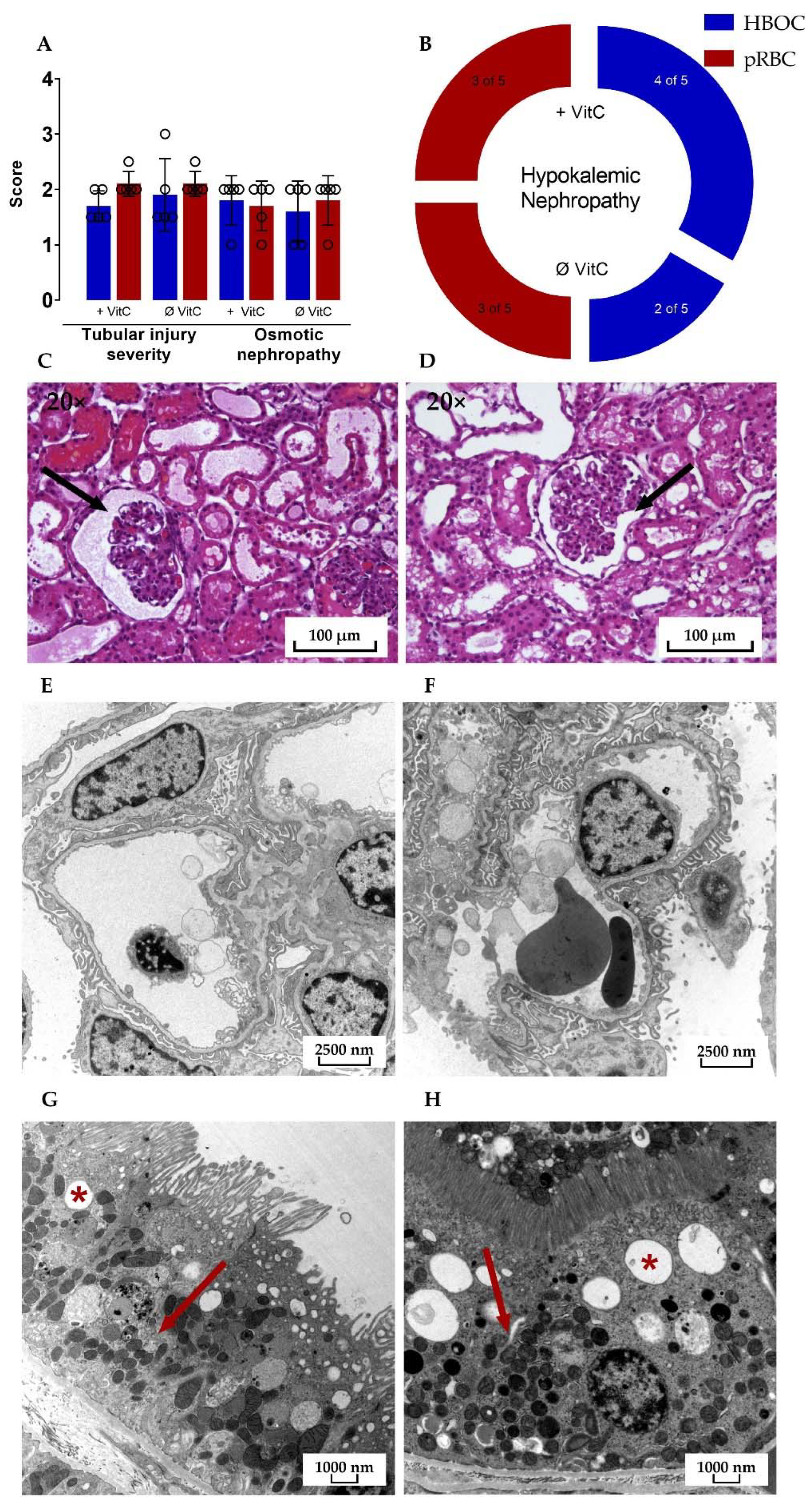 Antioxidants 11 01329 g008