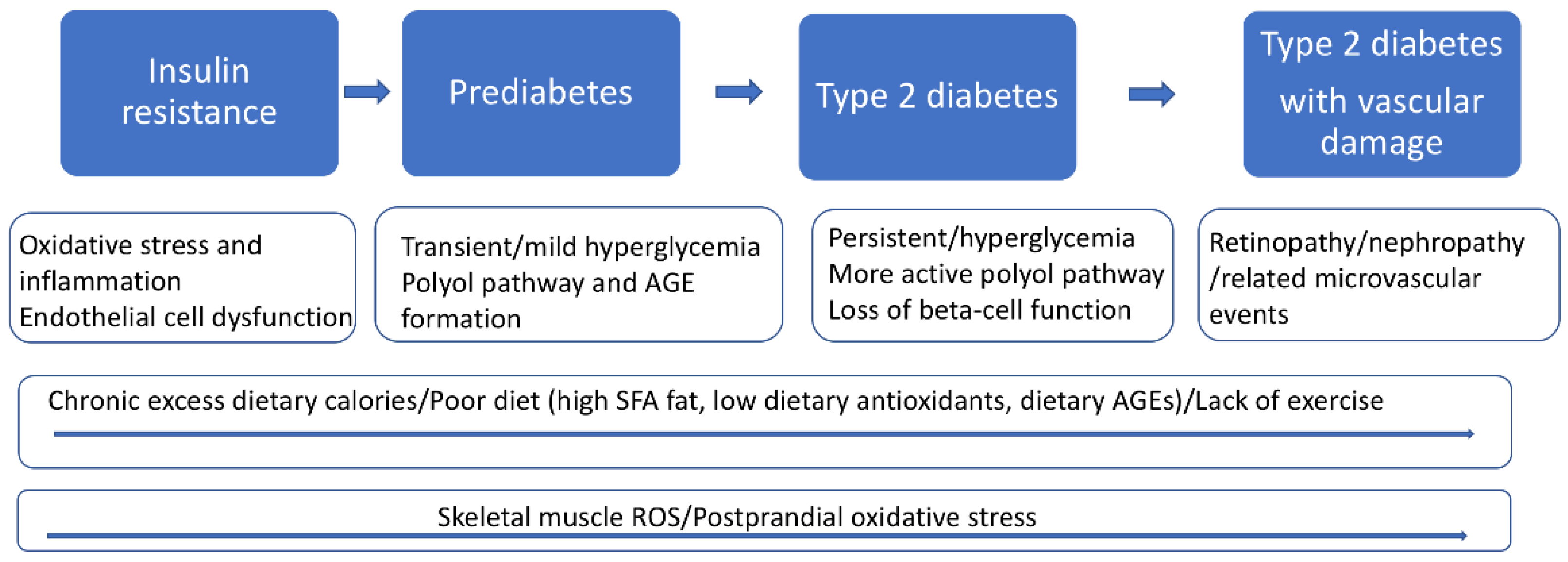Antioxidants 11 01336 g001