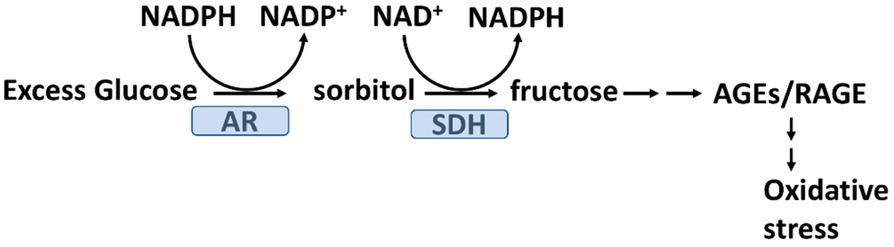 Antioxidants 11 01336 g003