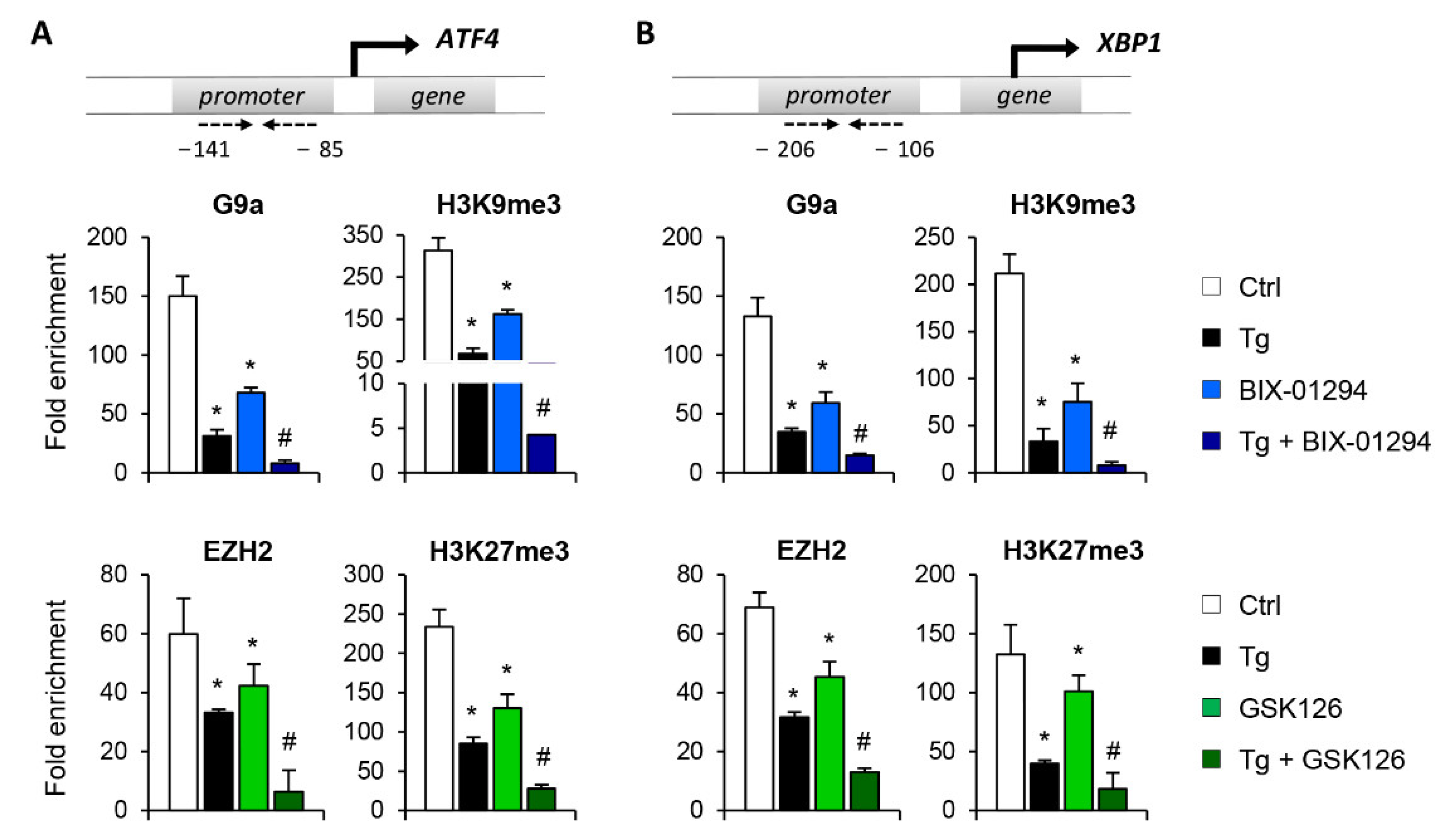 Antioxidants 11 01355 g004