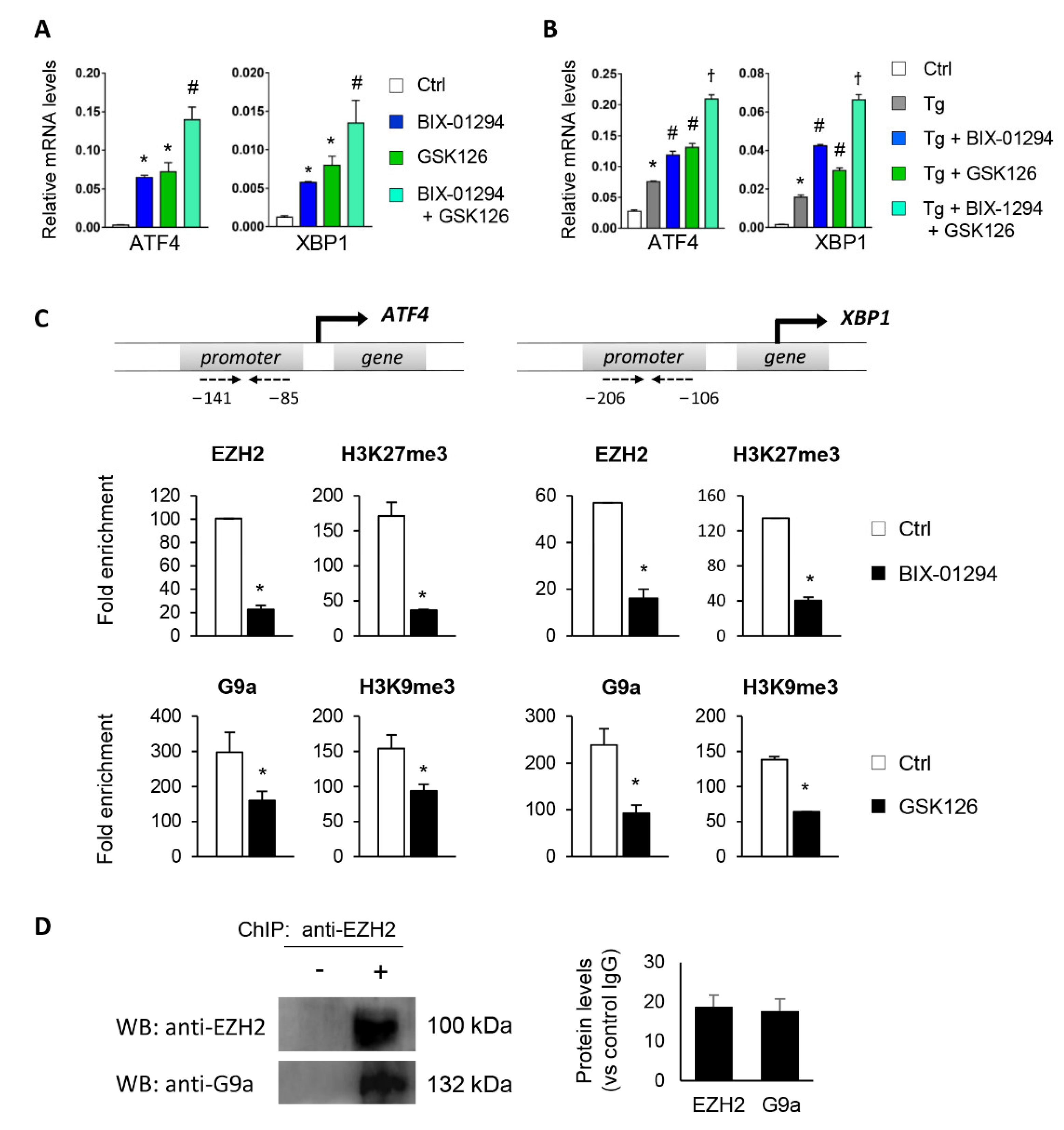 Antioxidants 11 01355 g005