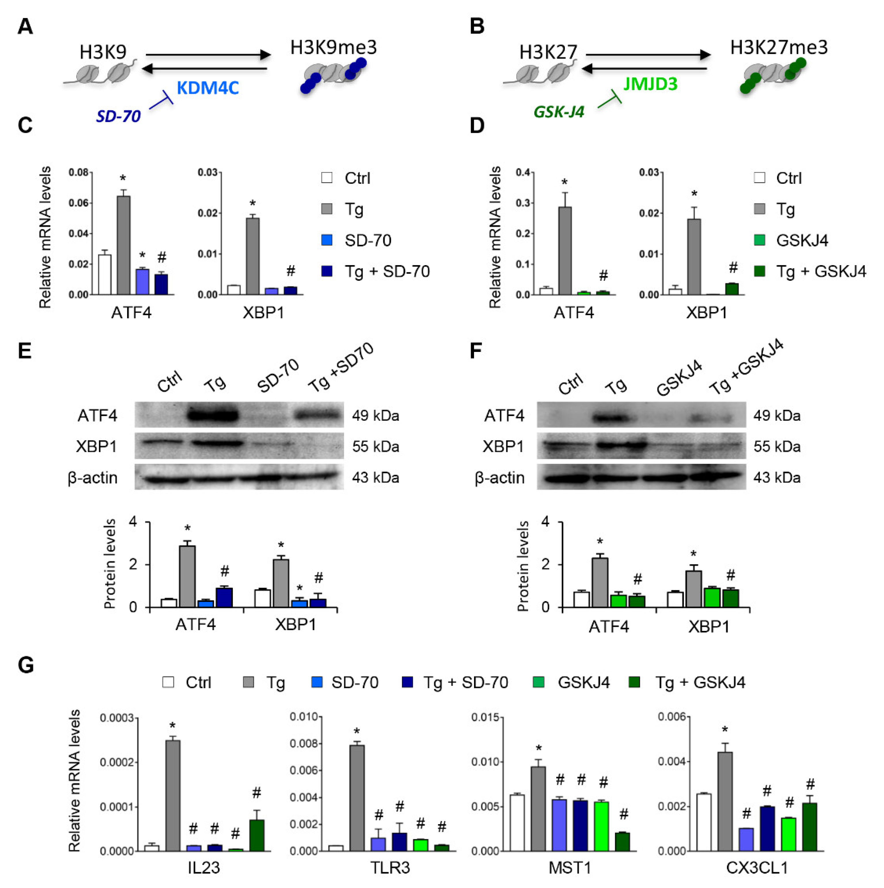 Antioxidants 11 01355 g006