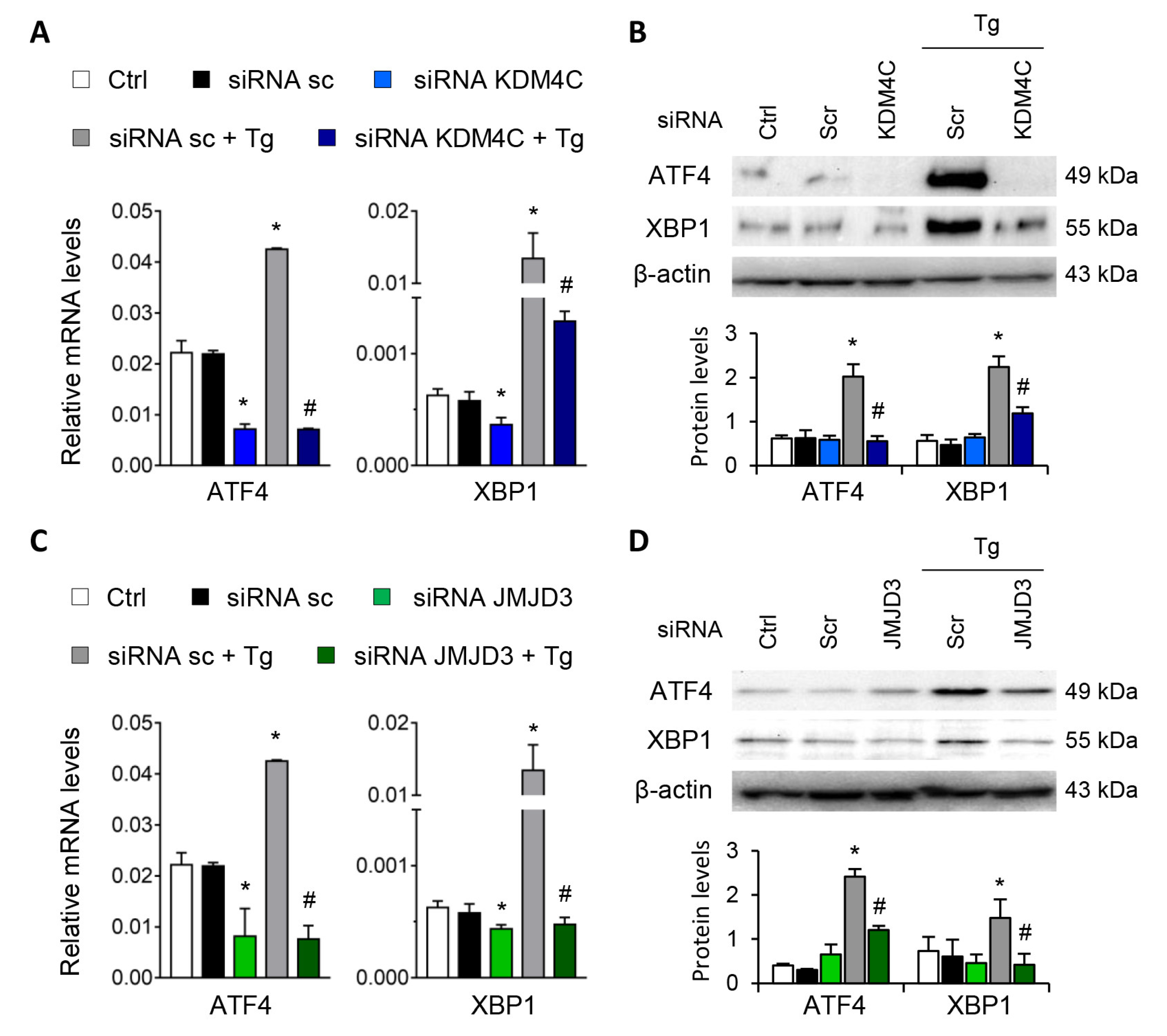 Antioxidants 11 01355 g007