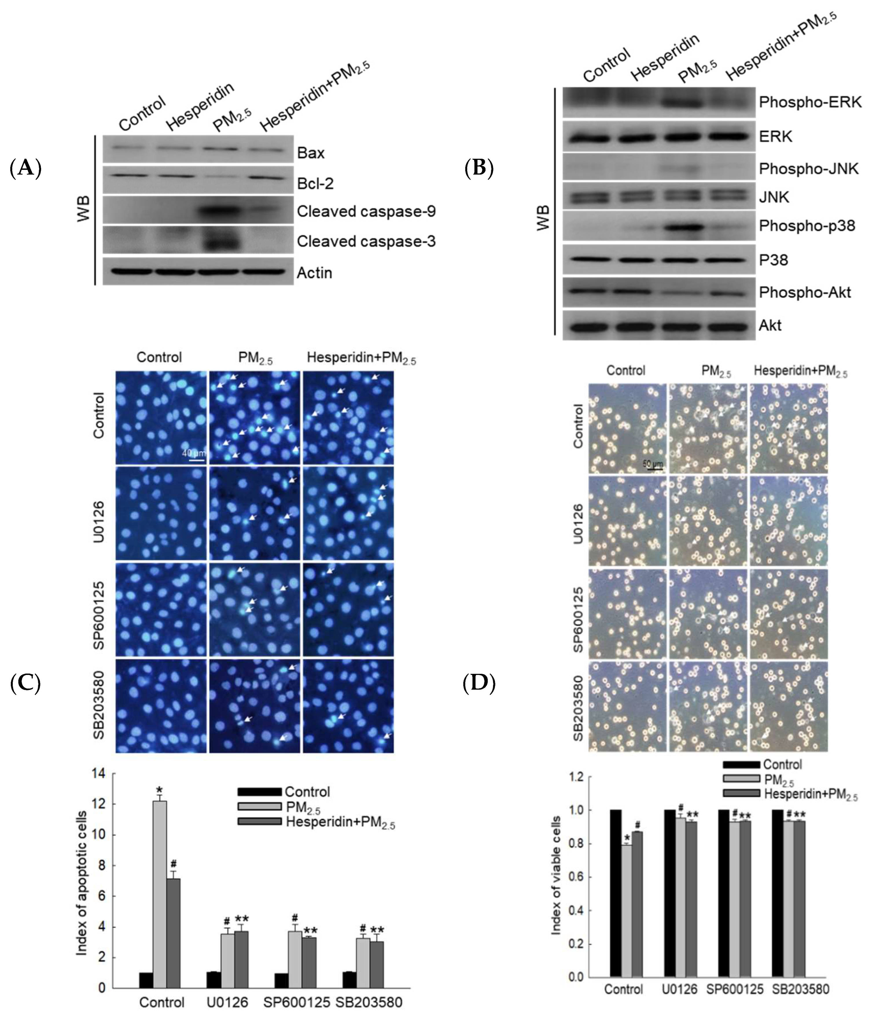 Antioxidants 11 01363 g005a