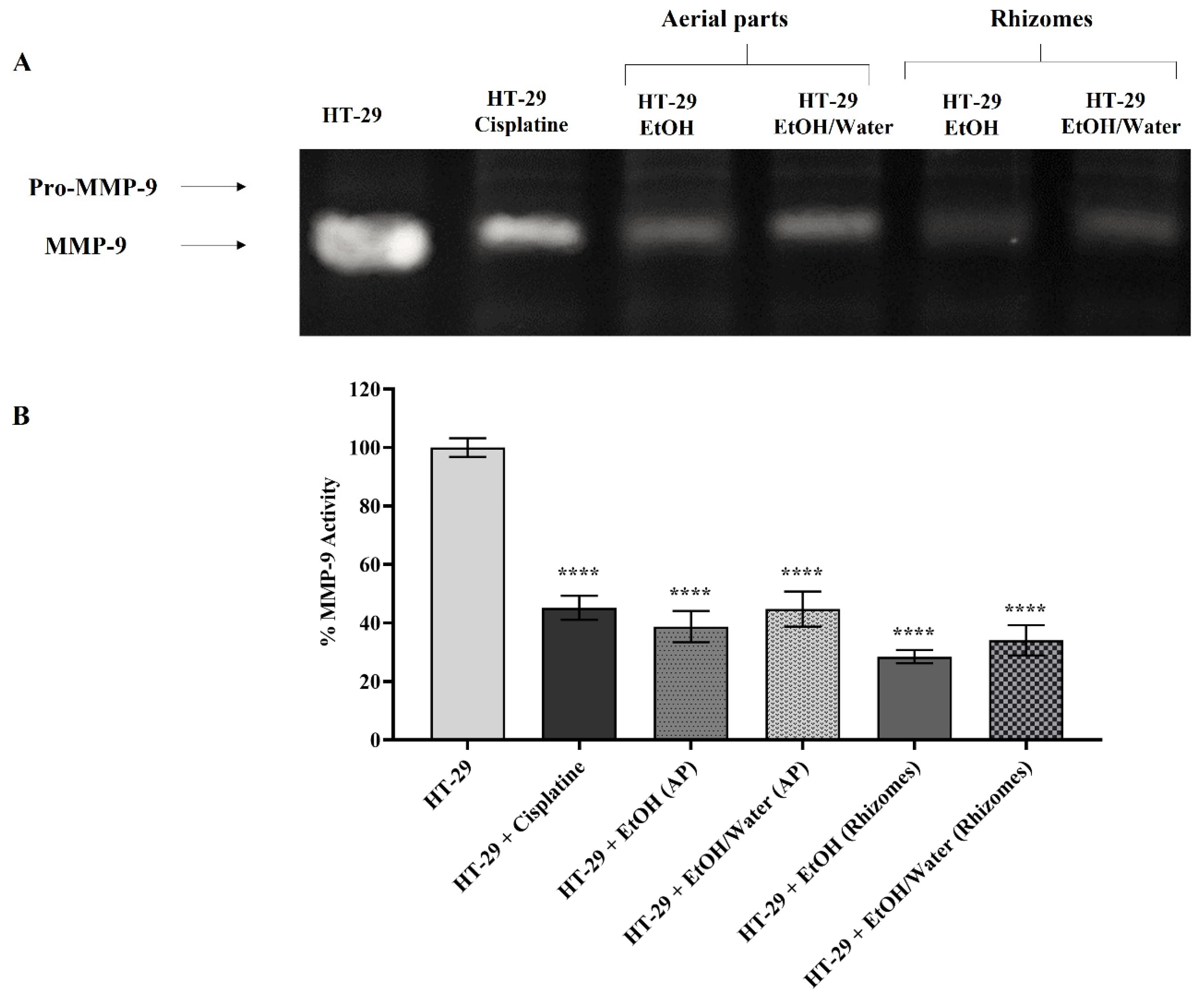 Antioxidants 11 01377 g007