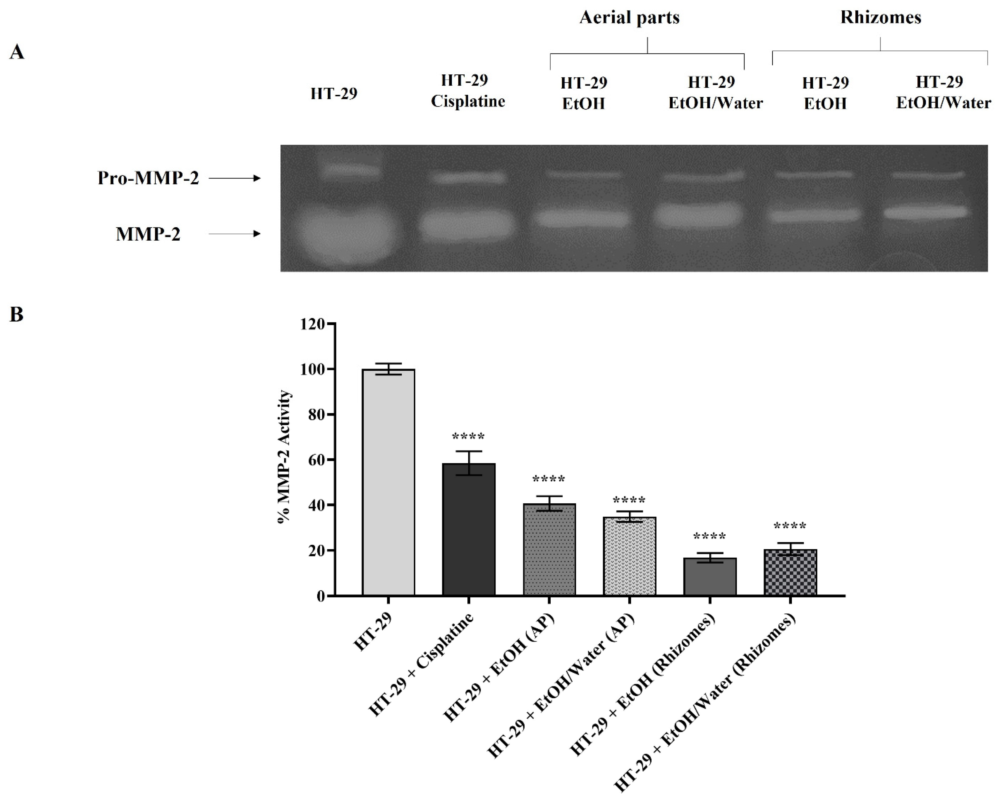 Antioxidants 11 01377 g008