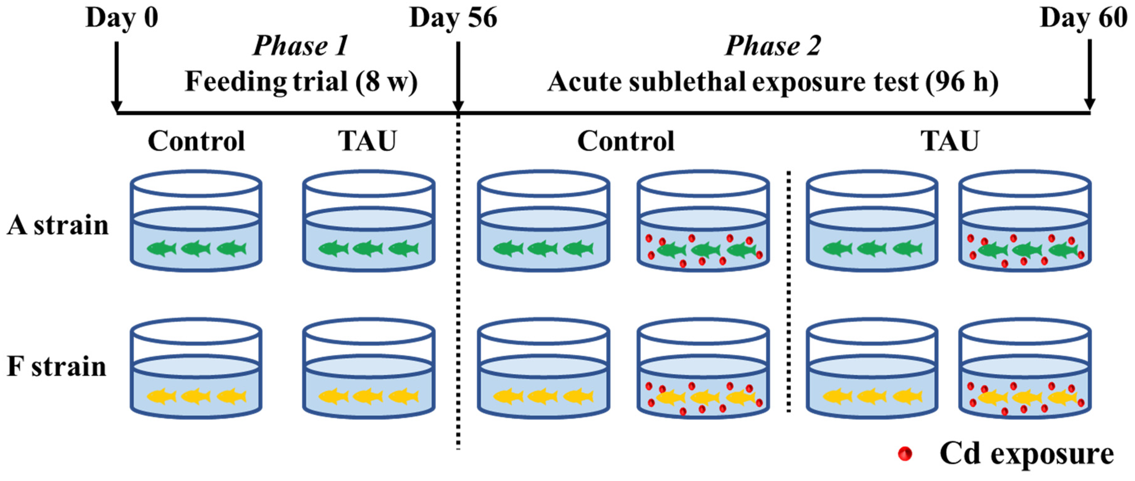 Antioxidants 11 01381 g001