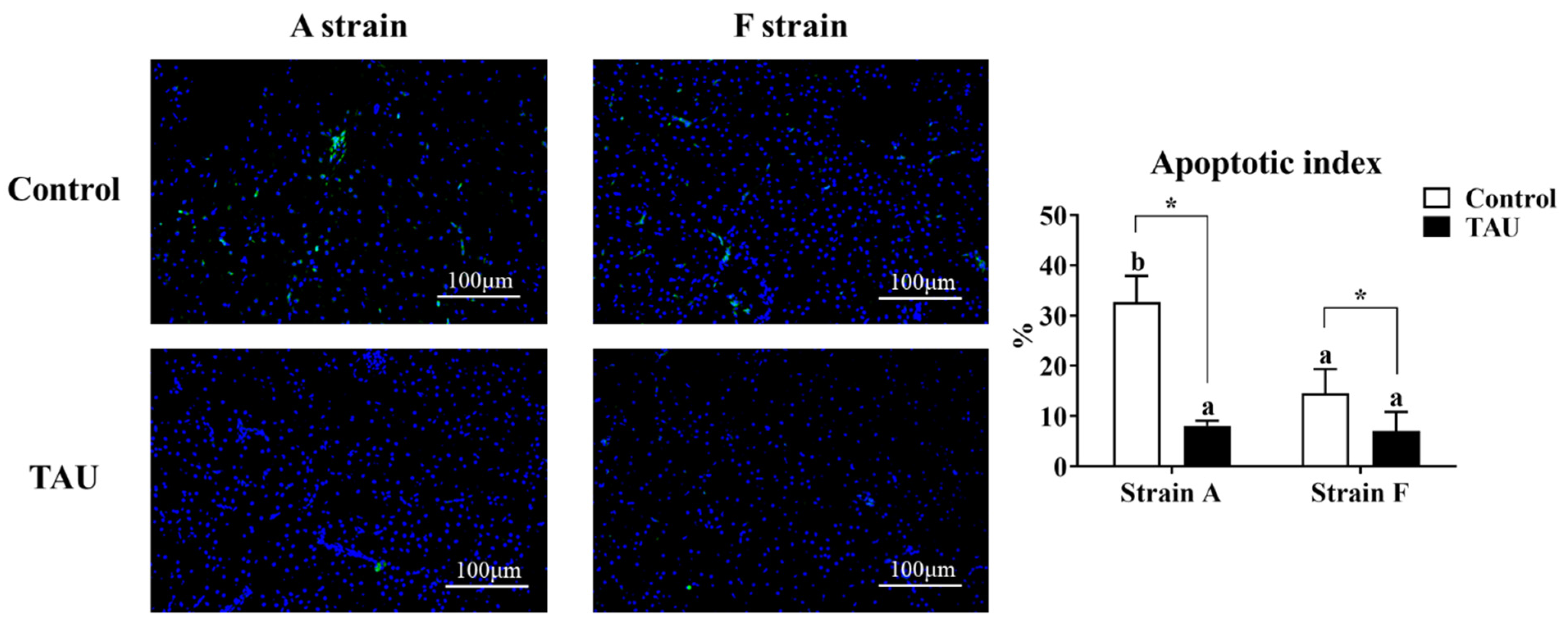Antioxidants 11 01381 g004